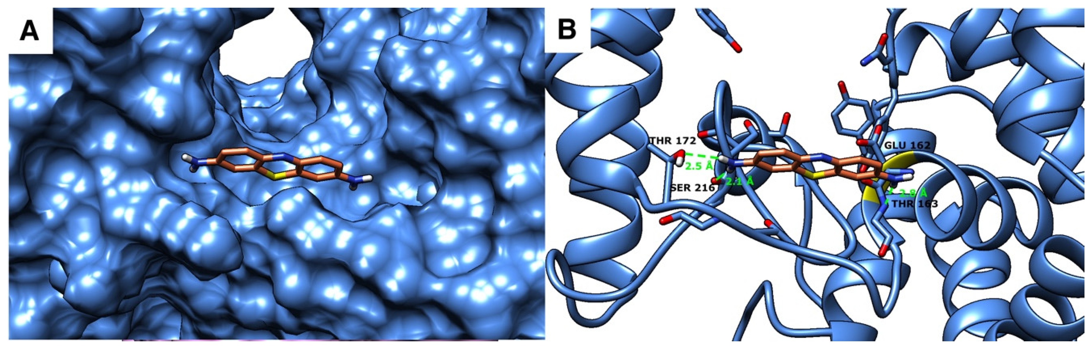 Molecules 26 04189 g009
