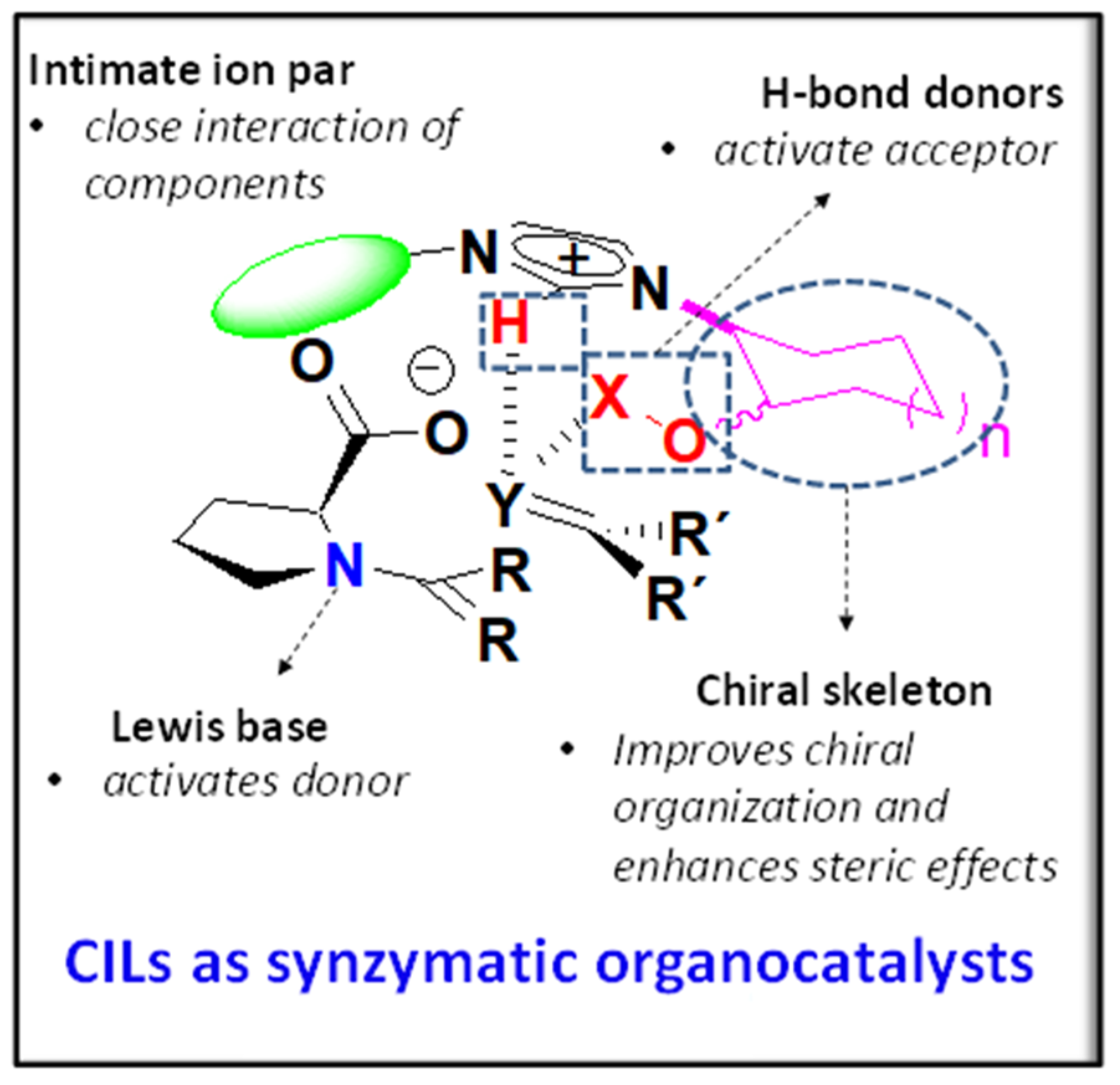Molecules 26 04190 g001