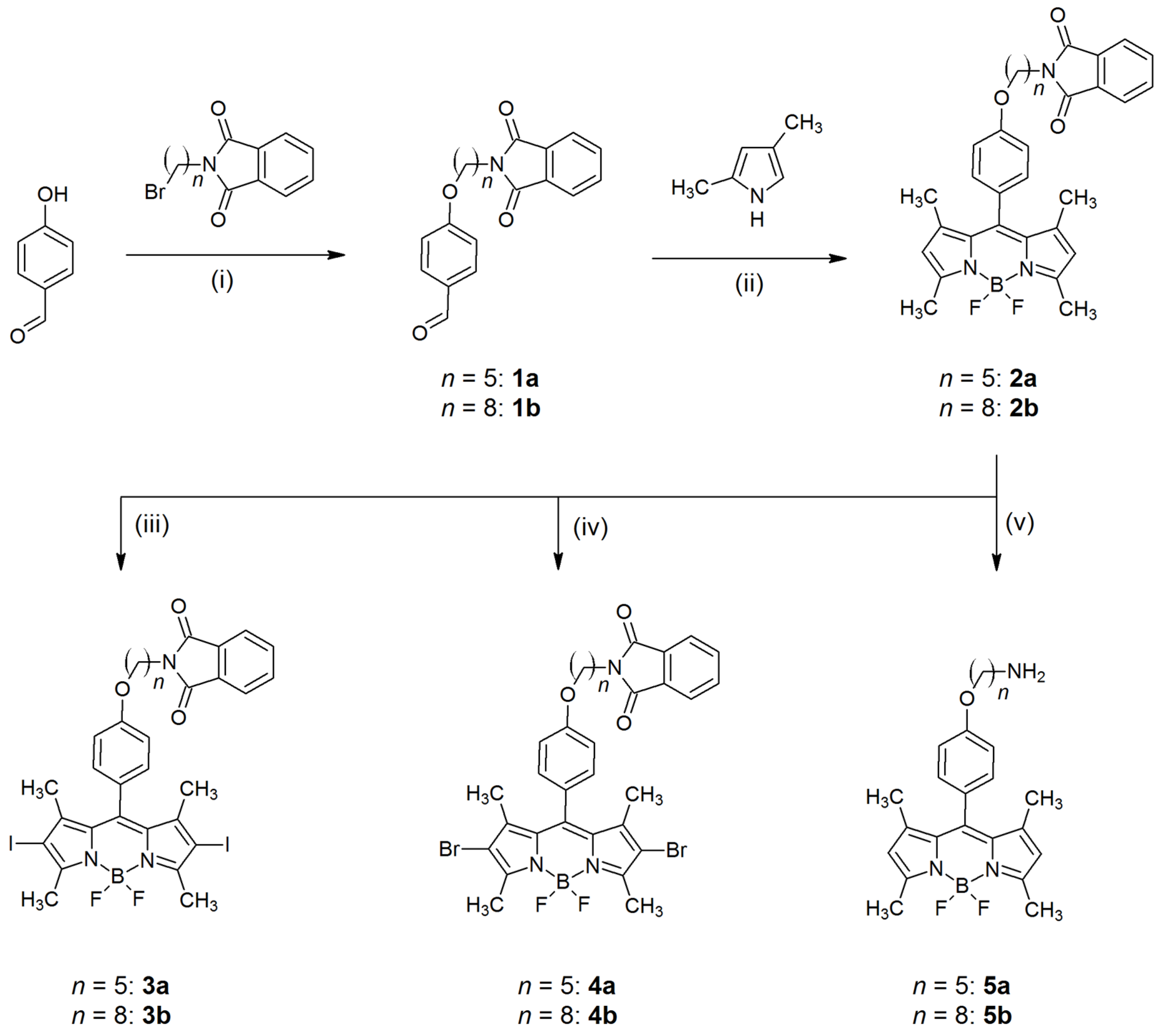 Molecules 26 04194 sch001 Molecules 26 04194 sch001