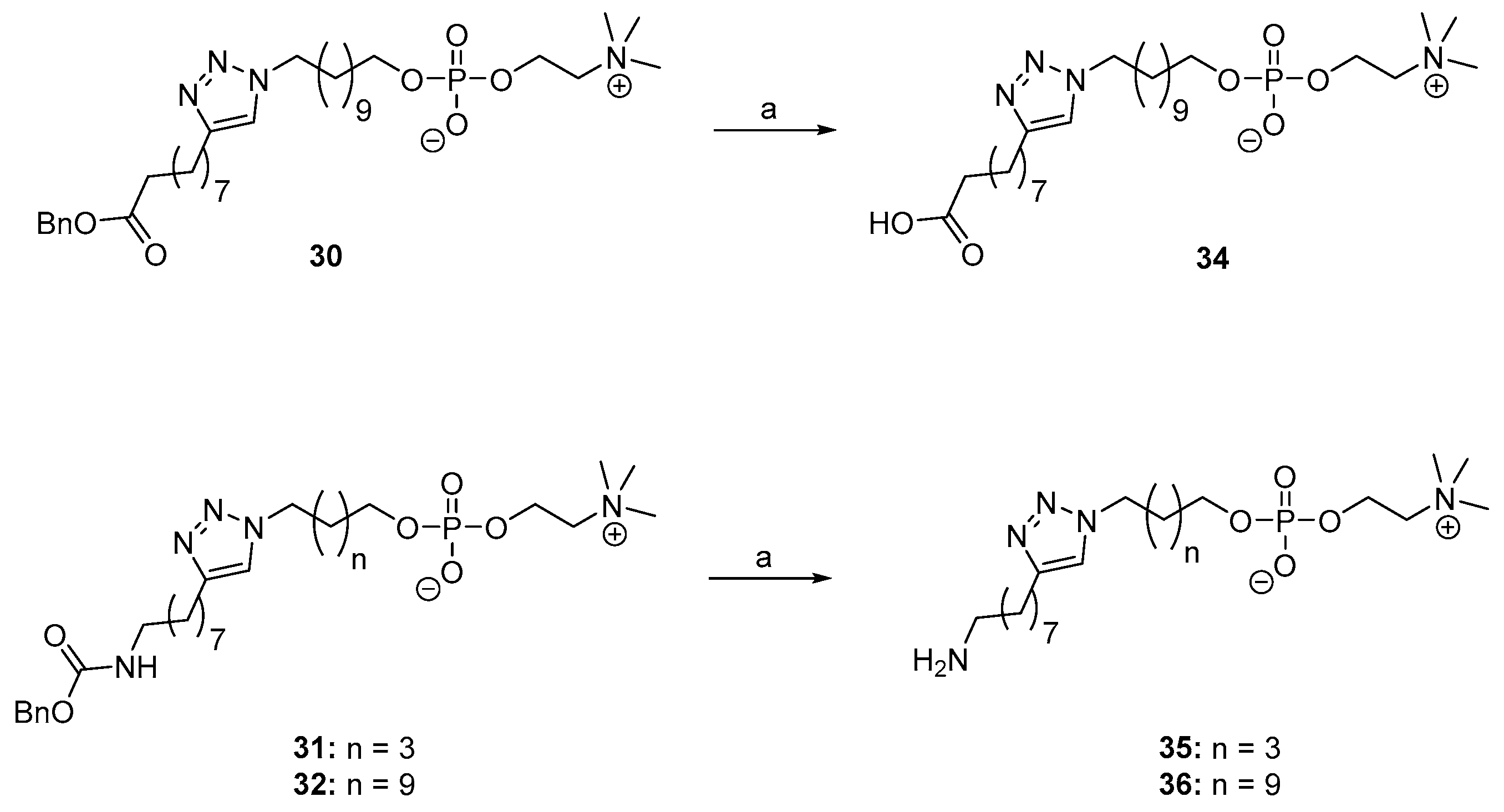 Molecules 26 04204 sch004