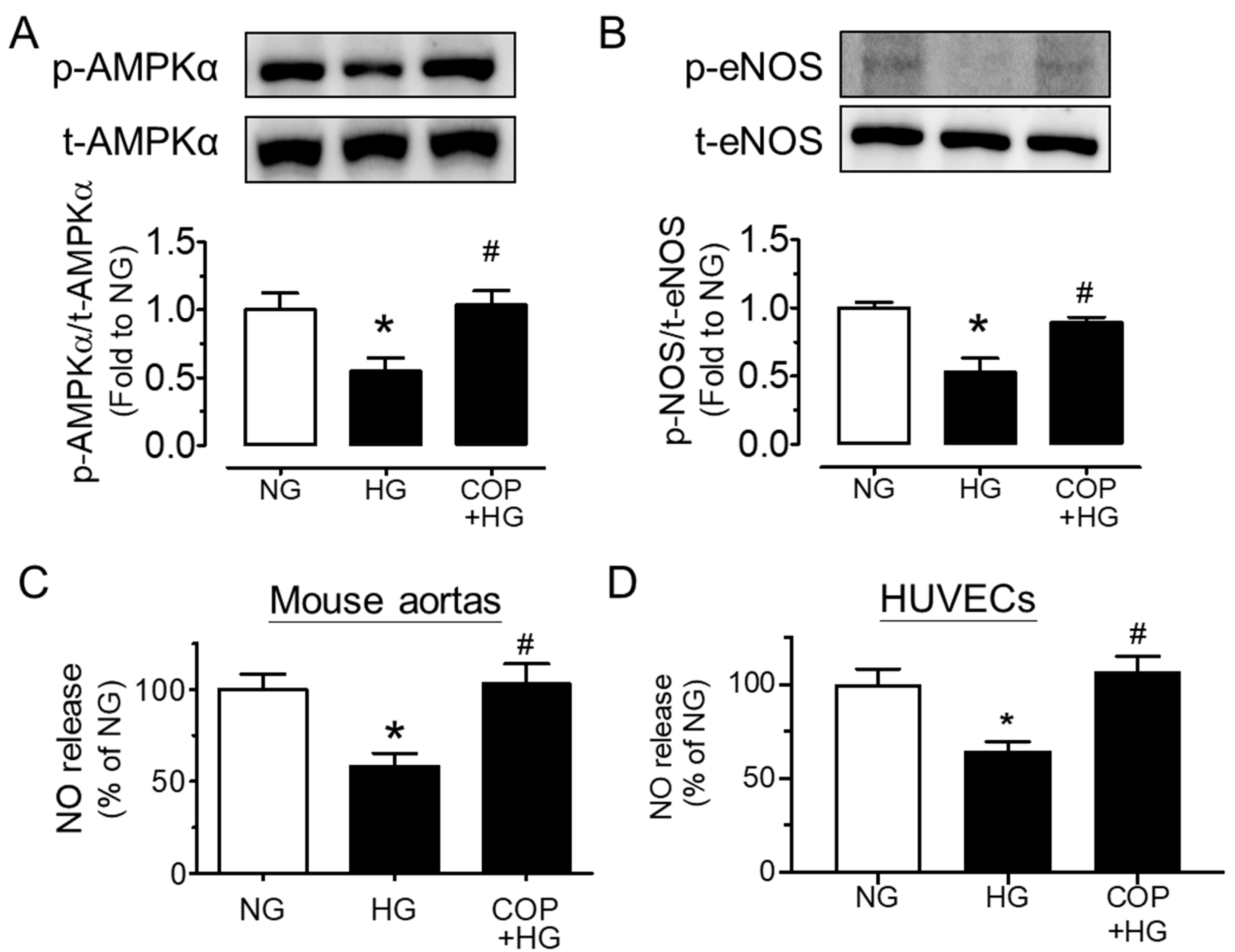 Molecules 26 04210 g004