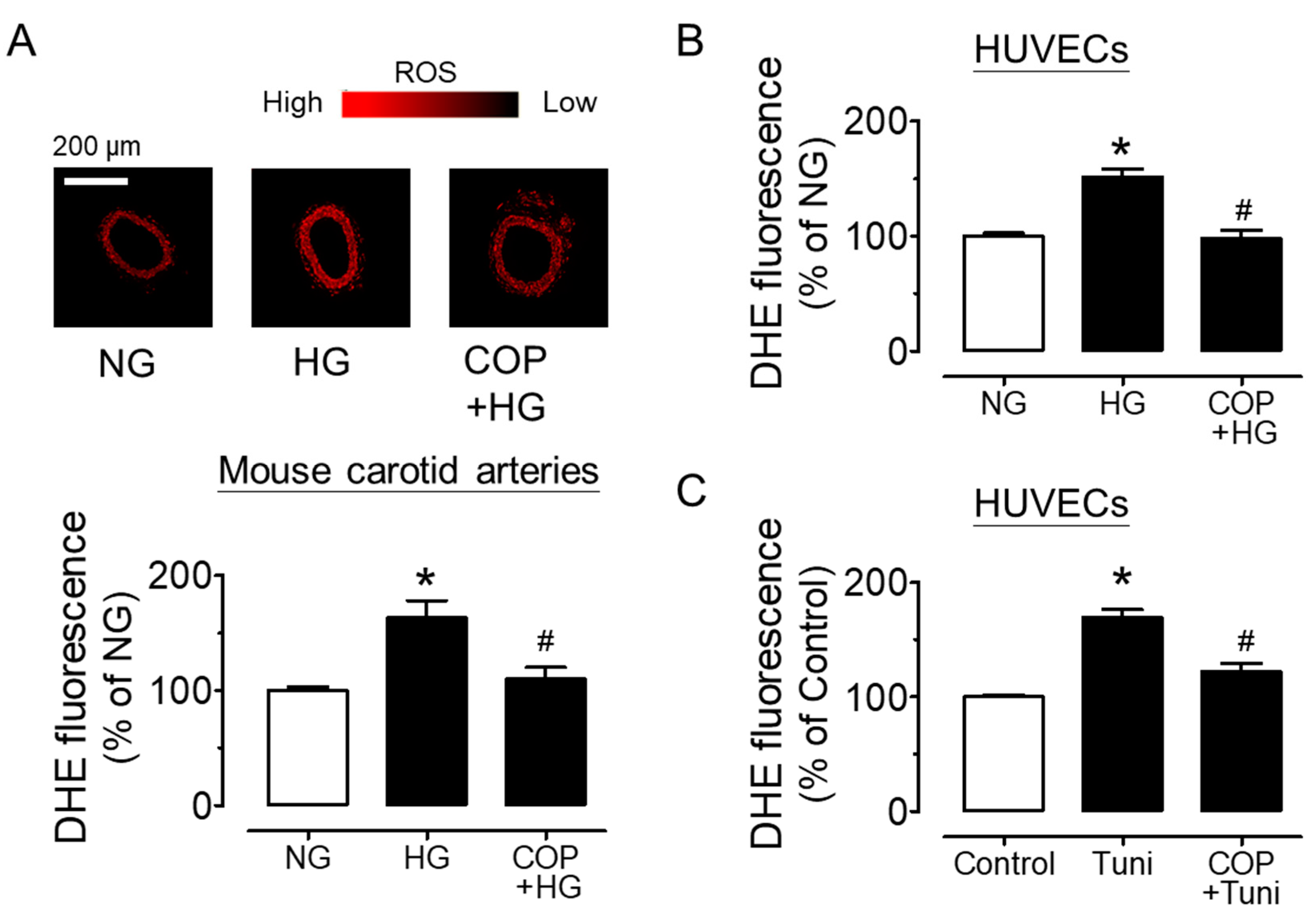 Molecules 26 04210 g006