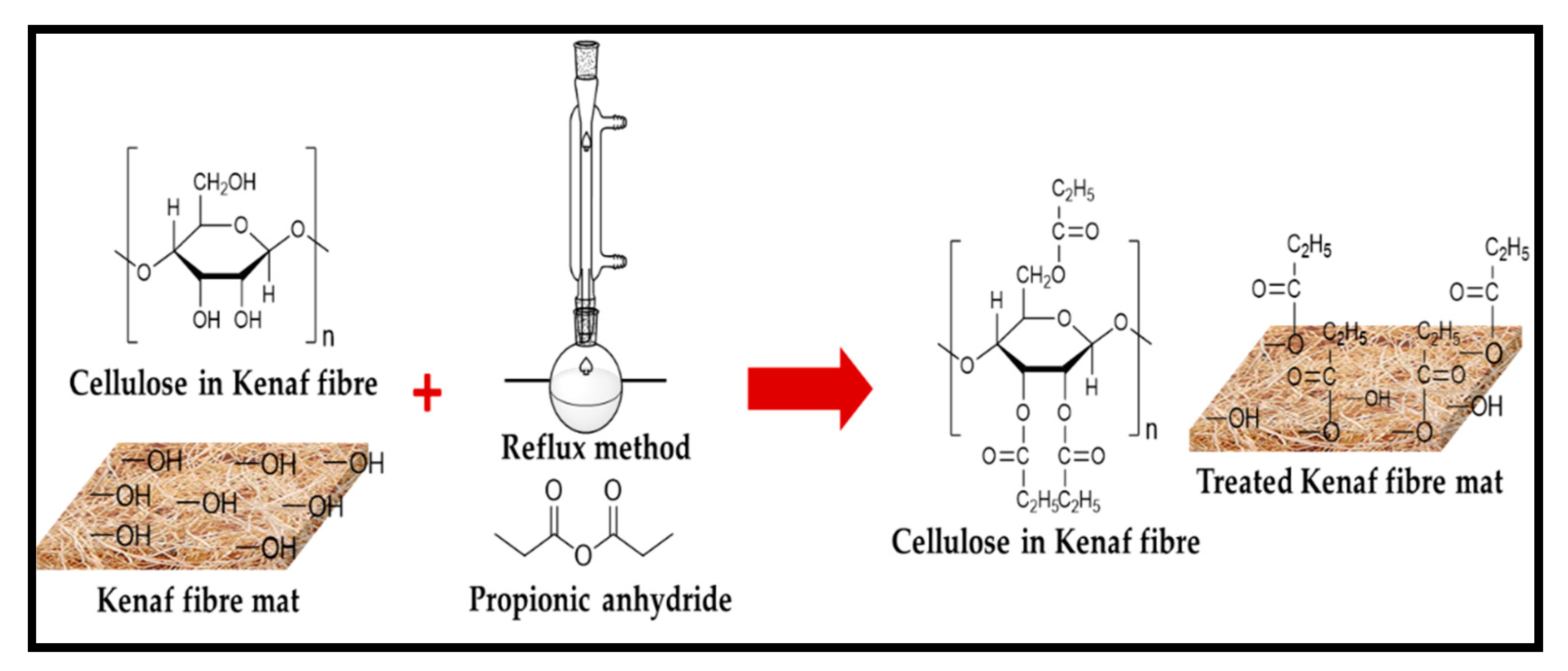 Molecules 26 04248 g001