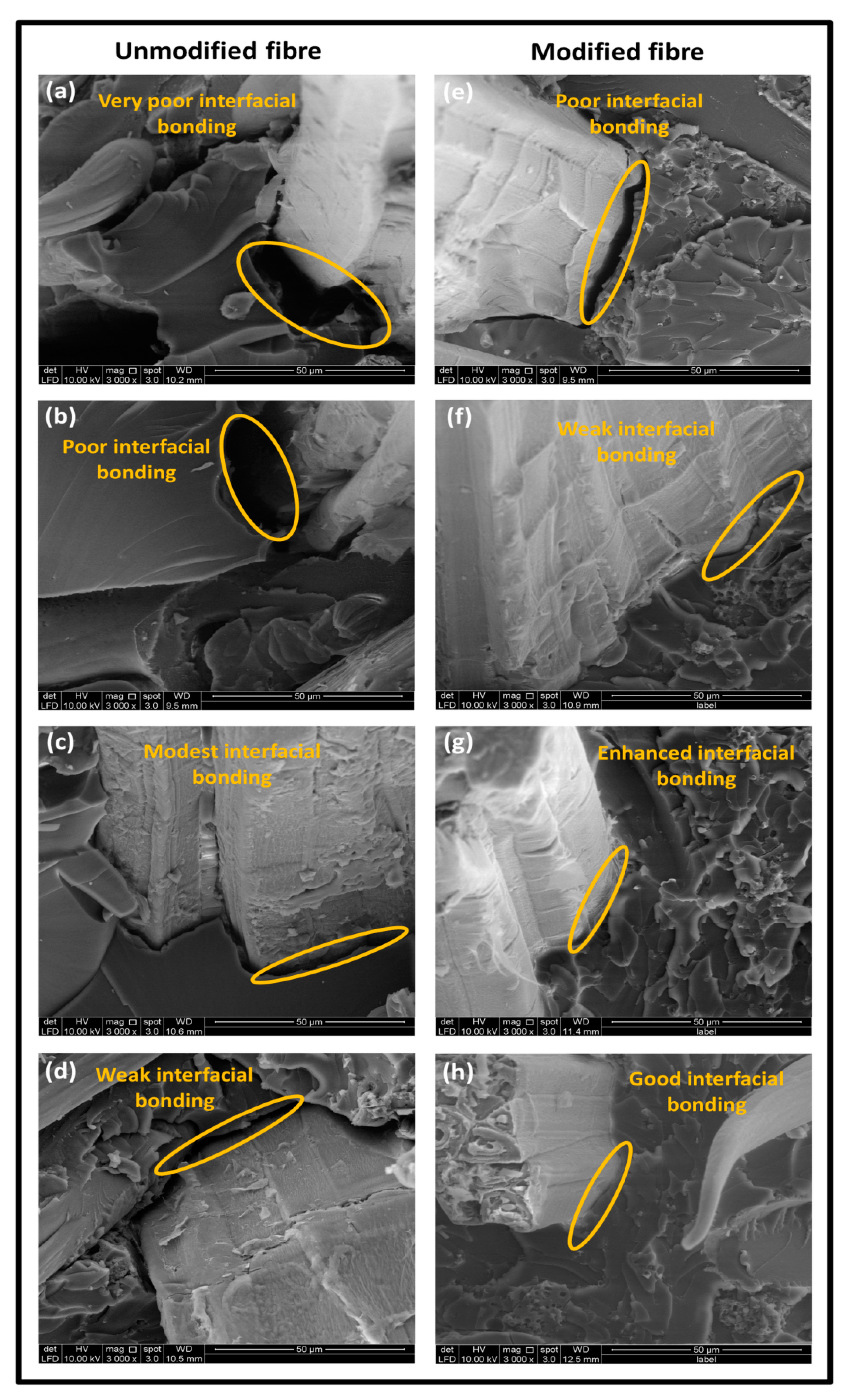 Molecules 26 04248 g008
