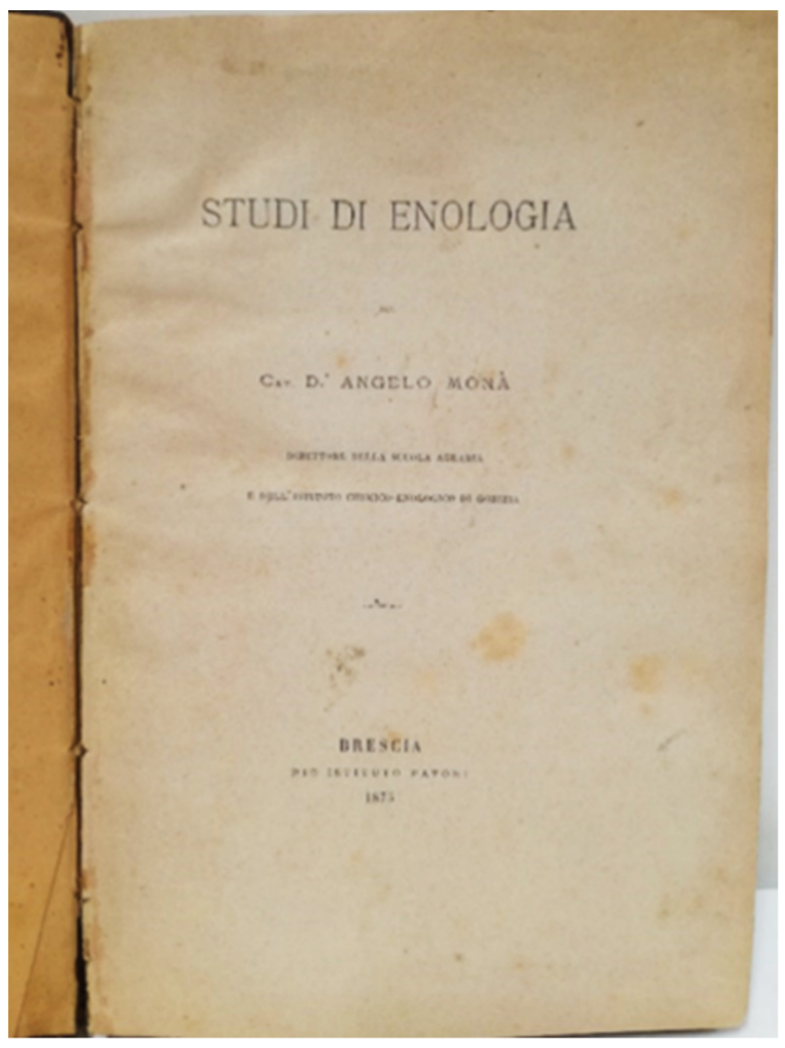 Molecules 26 04249 g004