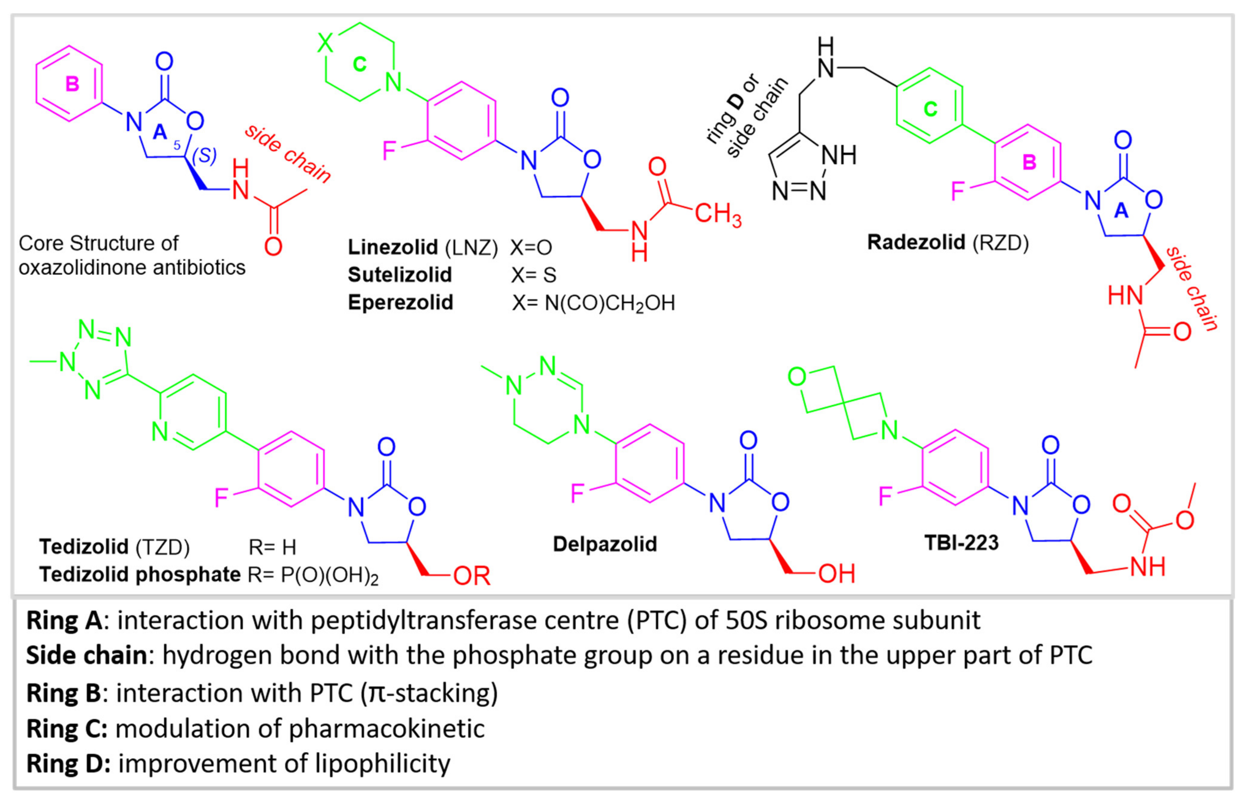 Molecules 26 04280 g001