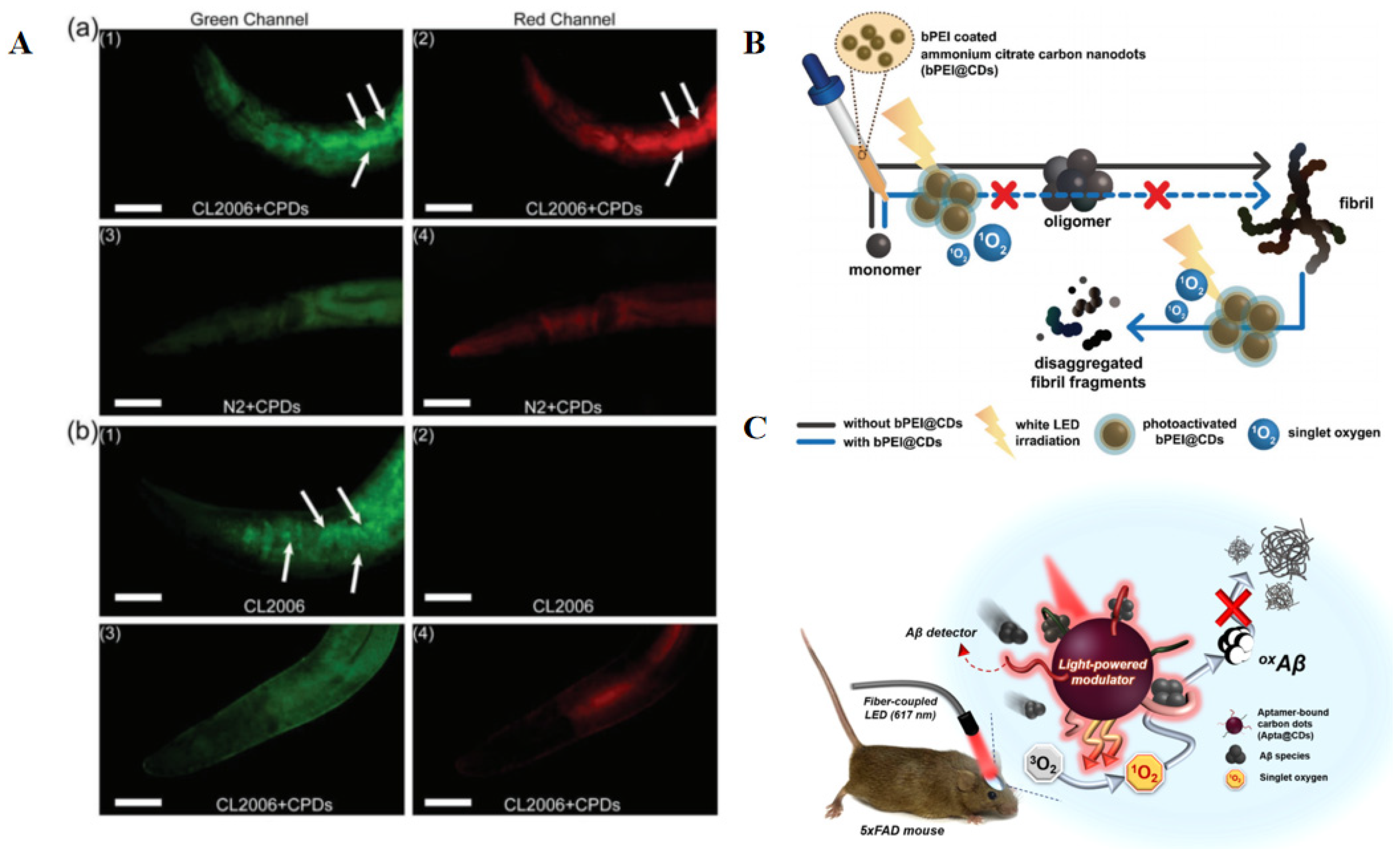 Molecules 26 04301 g006