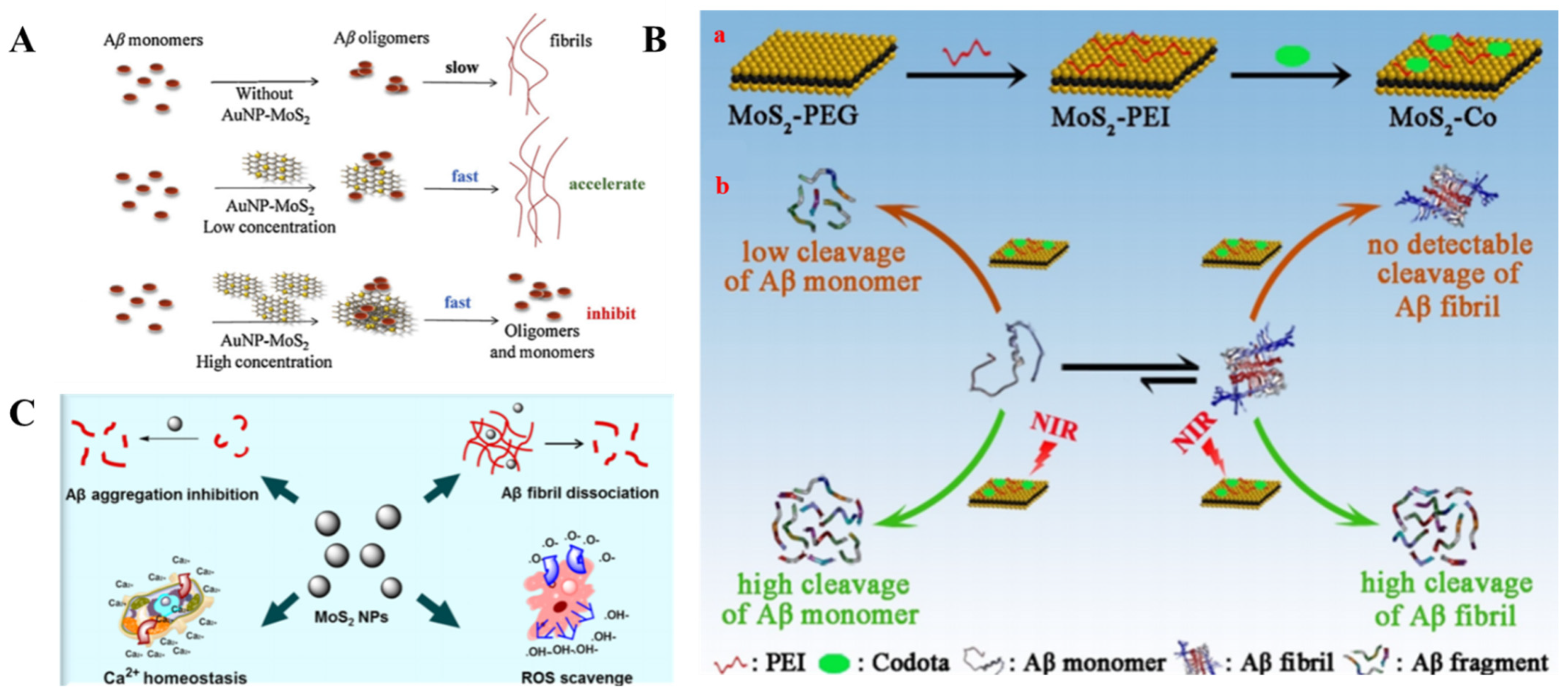 Molecules 26 04301 g011