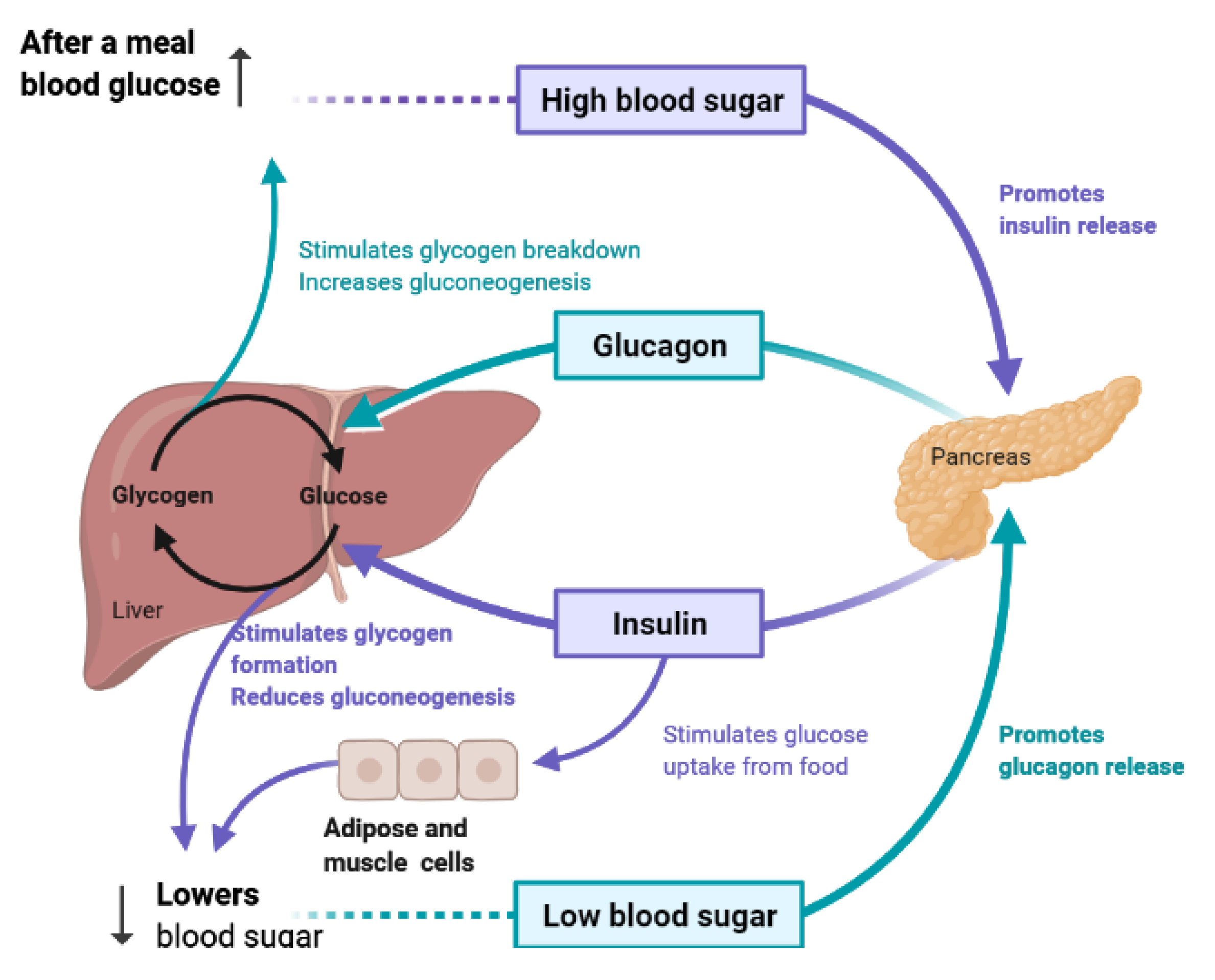 Molecules 26 04333 g002