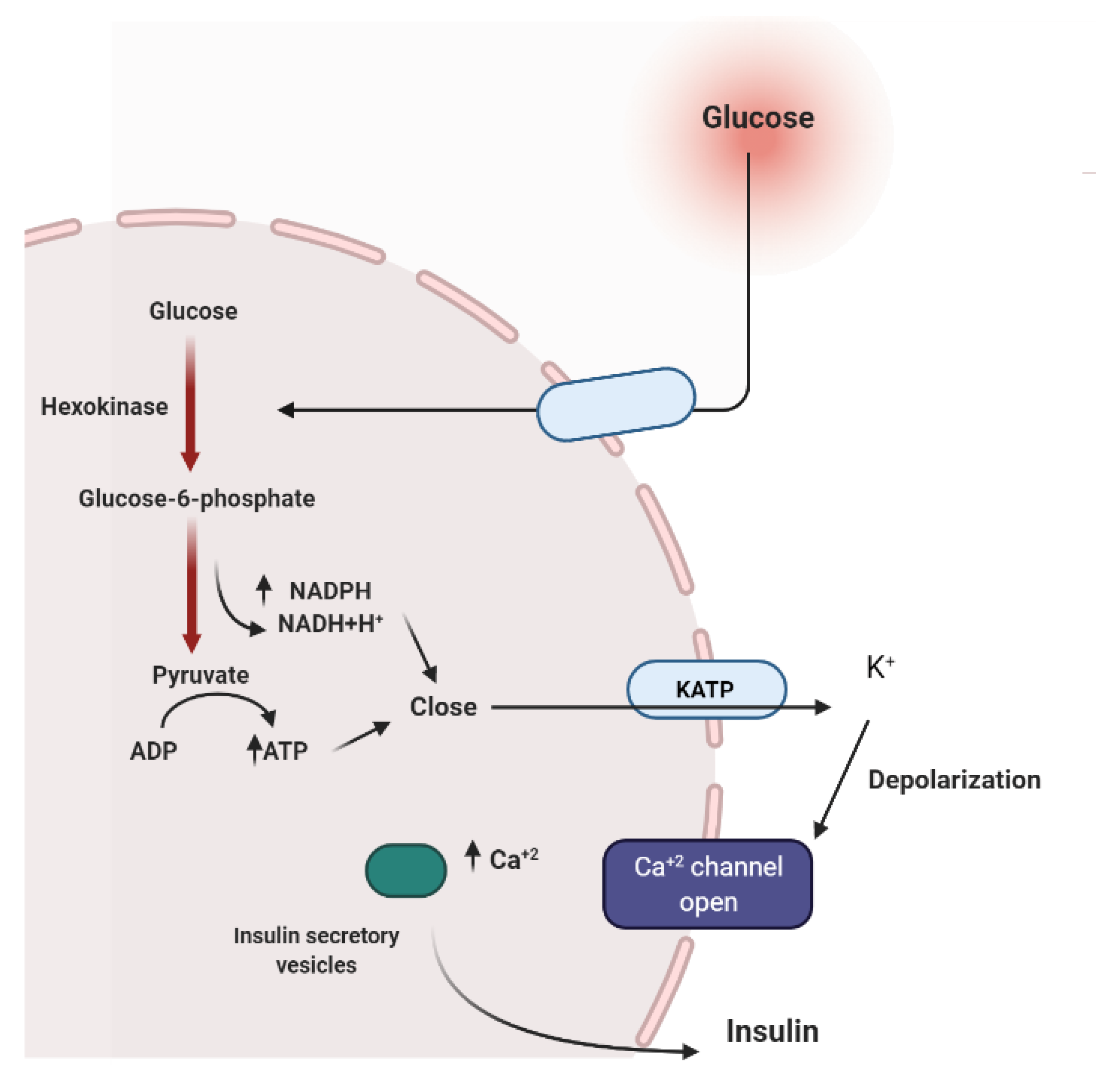 Molecules 26 04333 g003