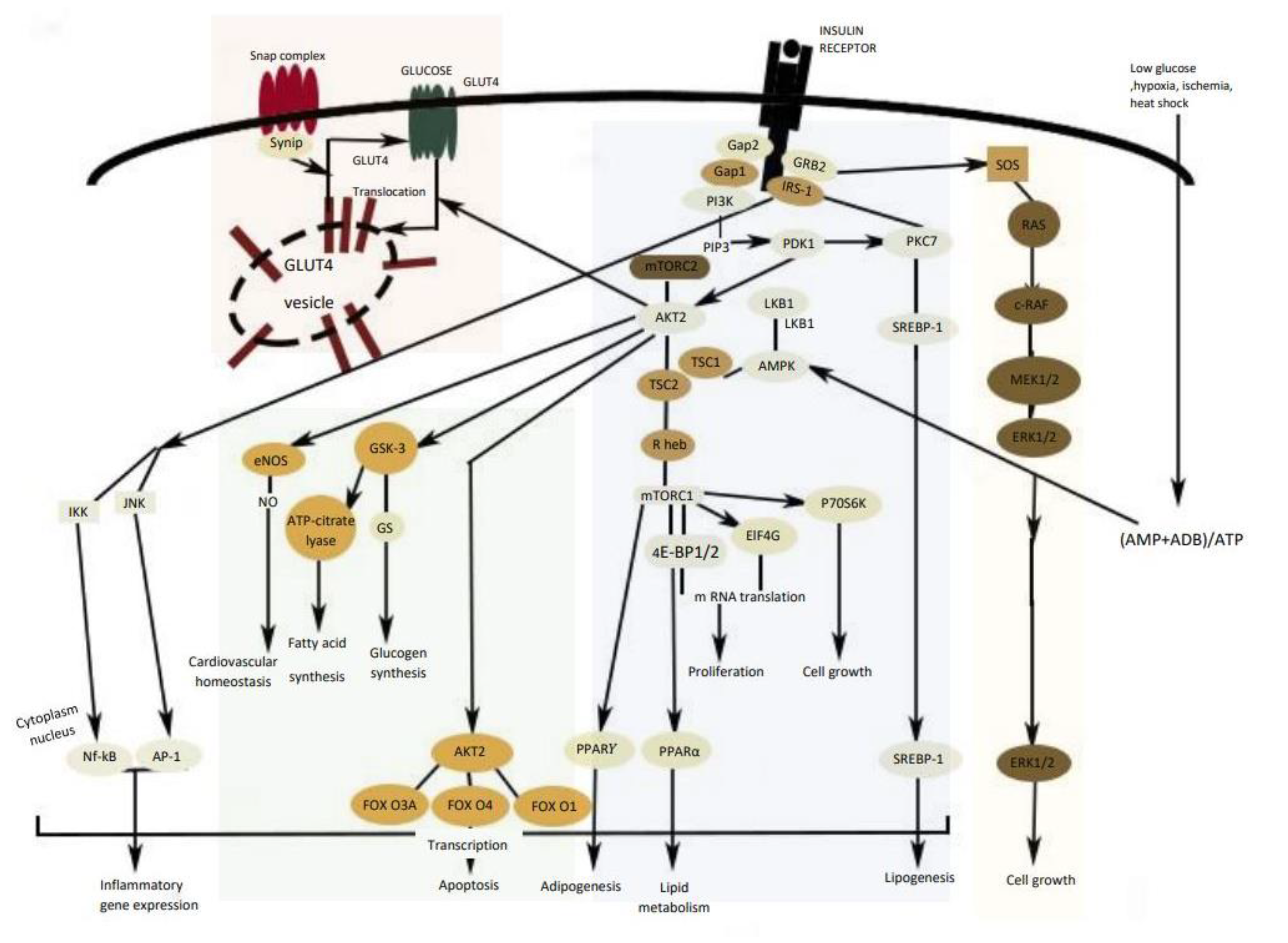 Molecules 26 04333 g004