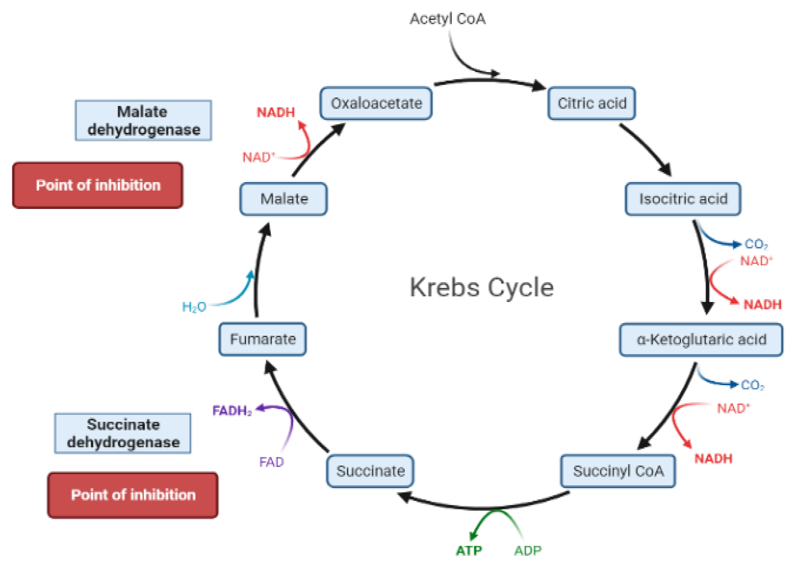 Molecules 26 04333 g006