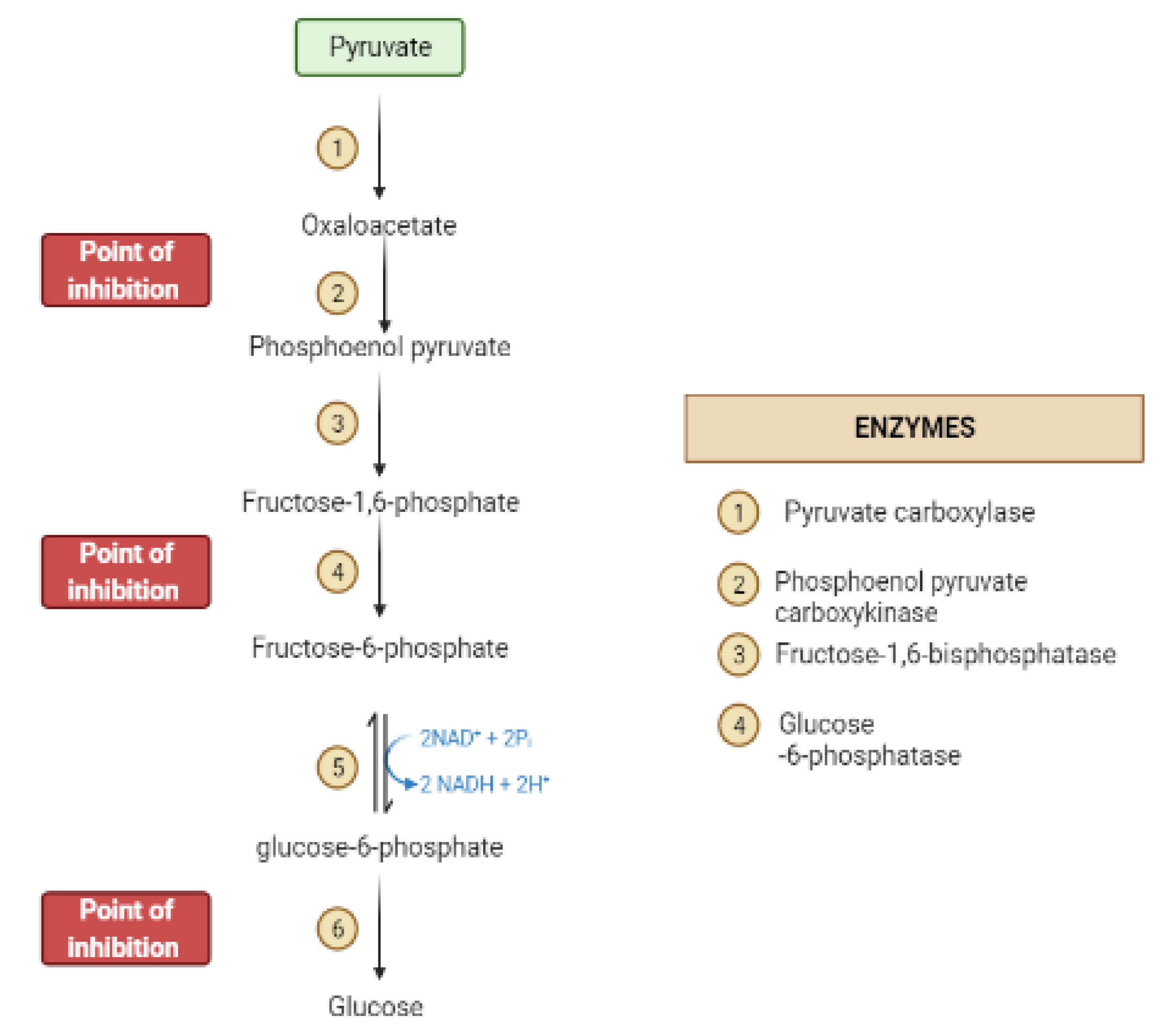Molecules 26 04333 g007