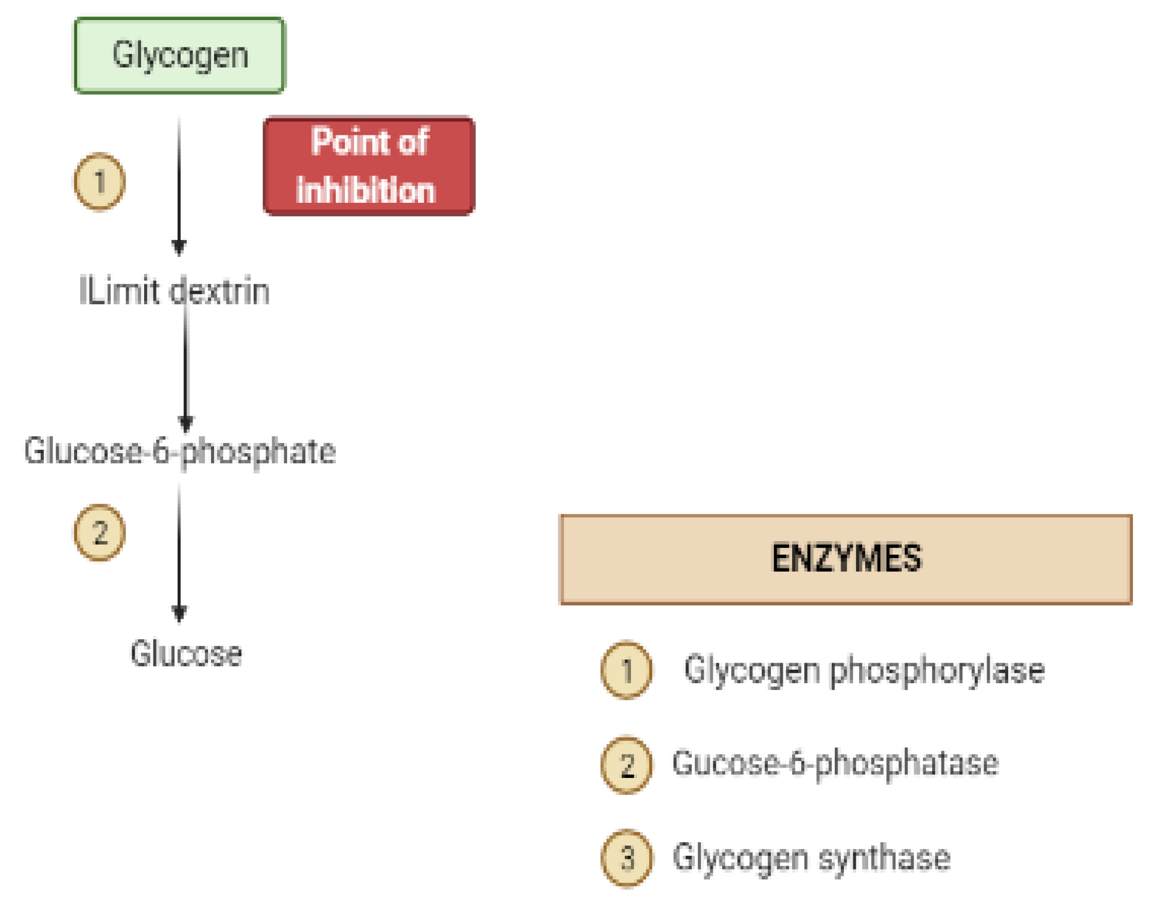 Molecules 26 04333 g008a