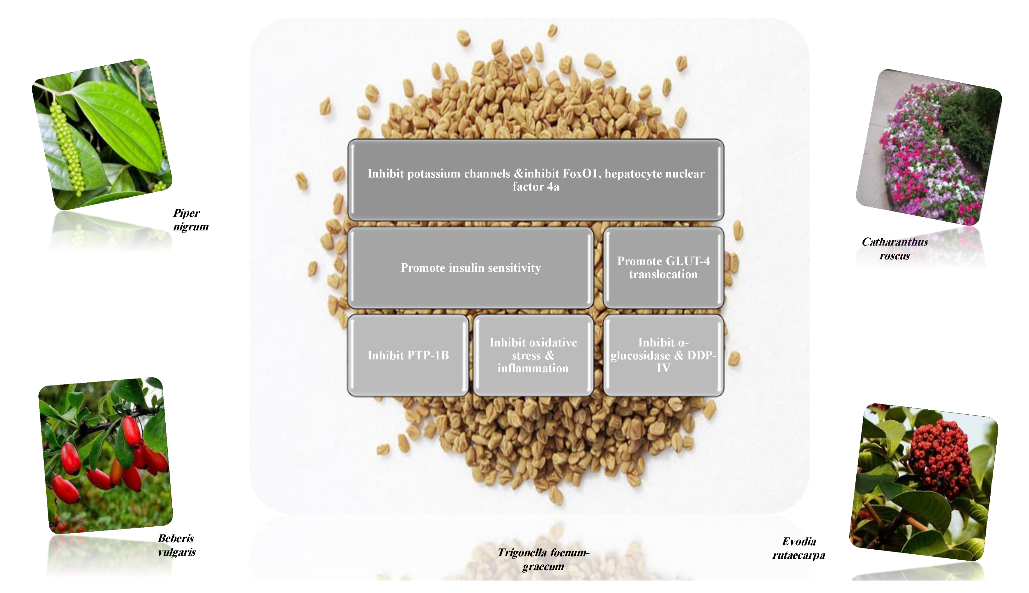 Molecules 26 04333 g010