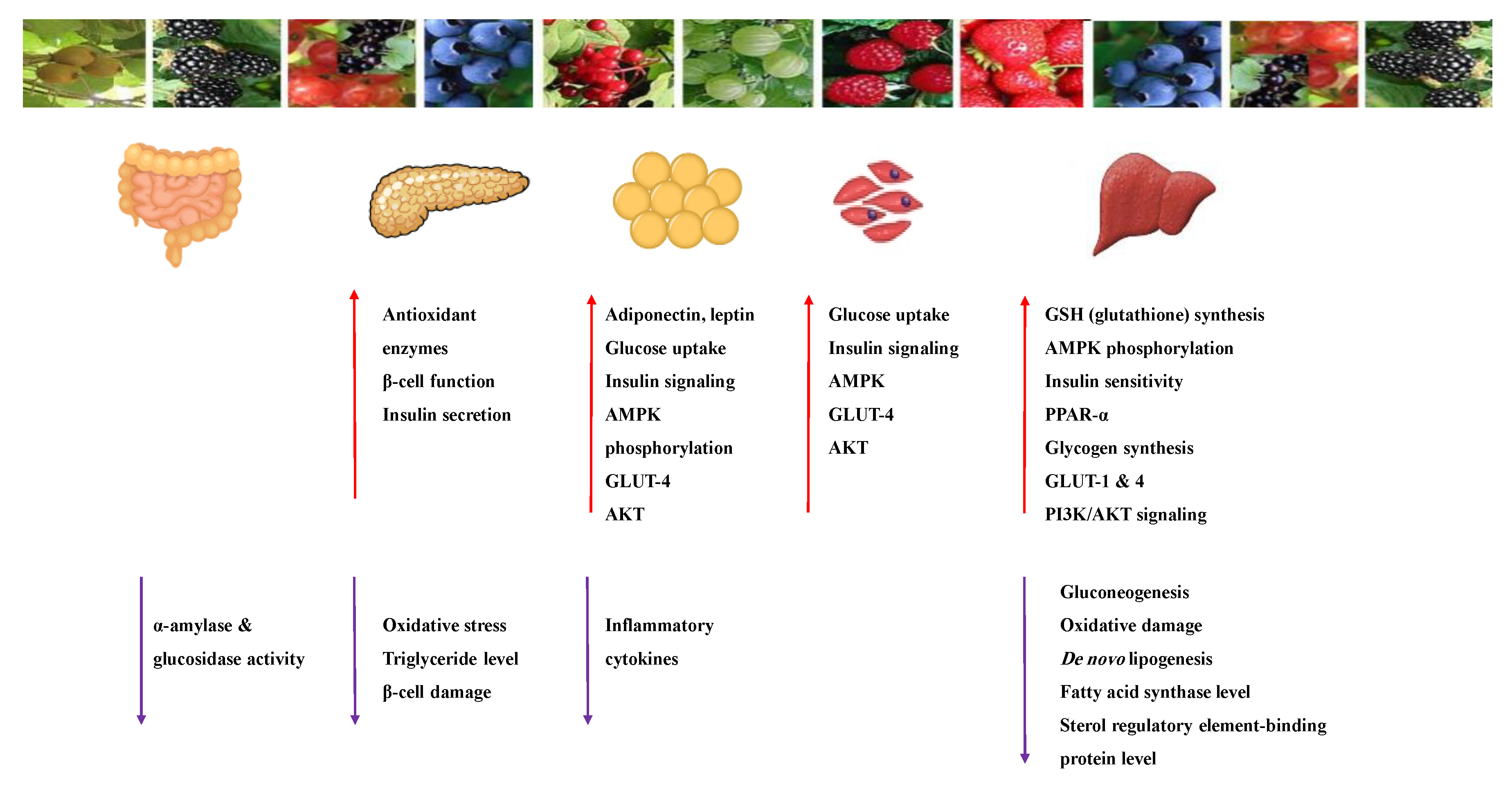 Molecules 26 04333 g012
