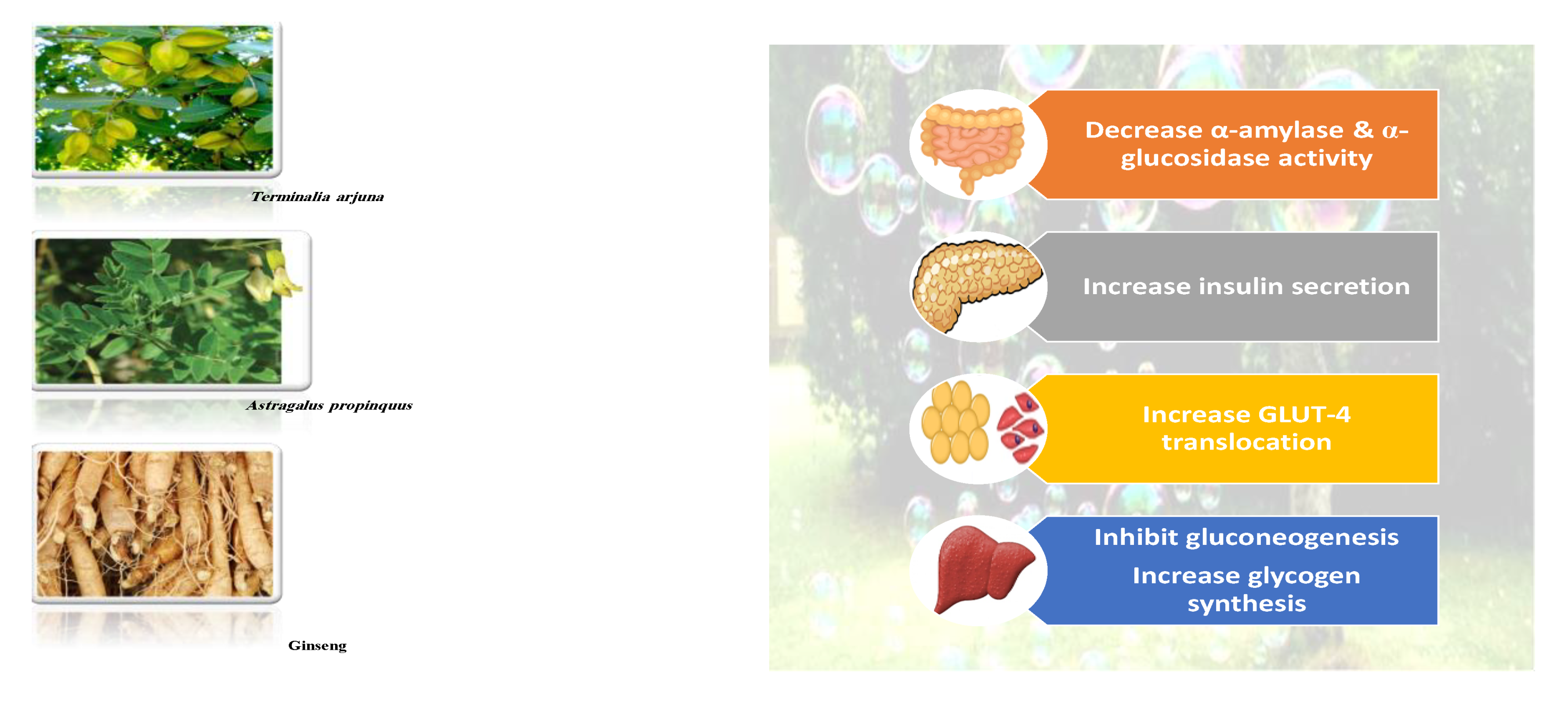 Molecules 26 04333 g014
