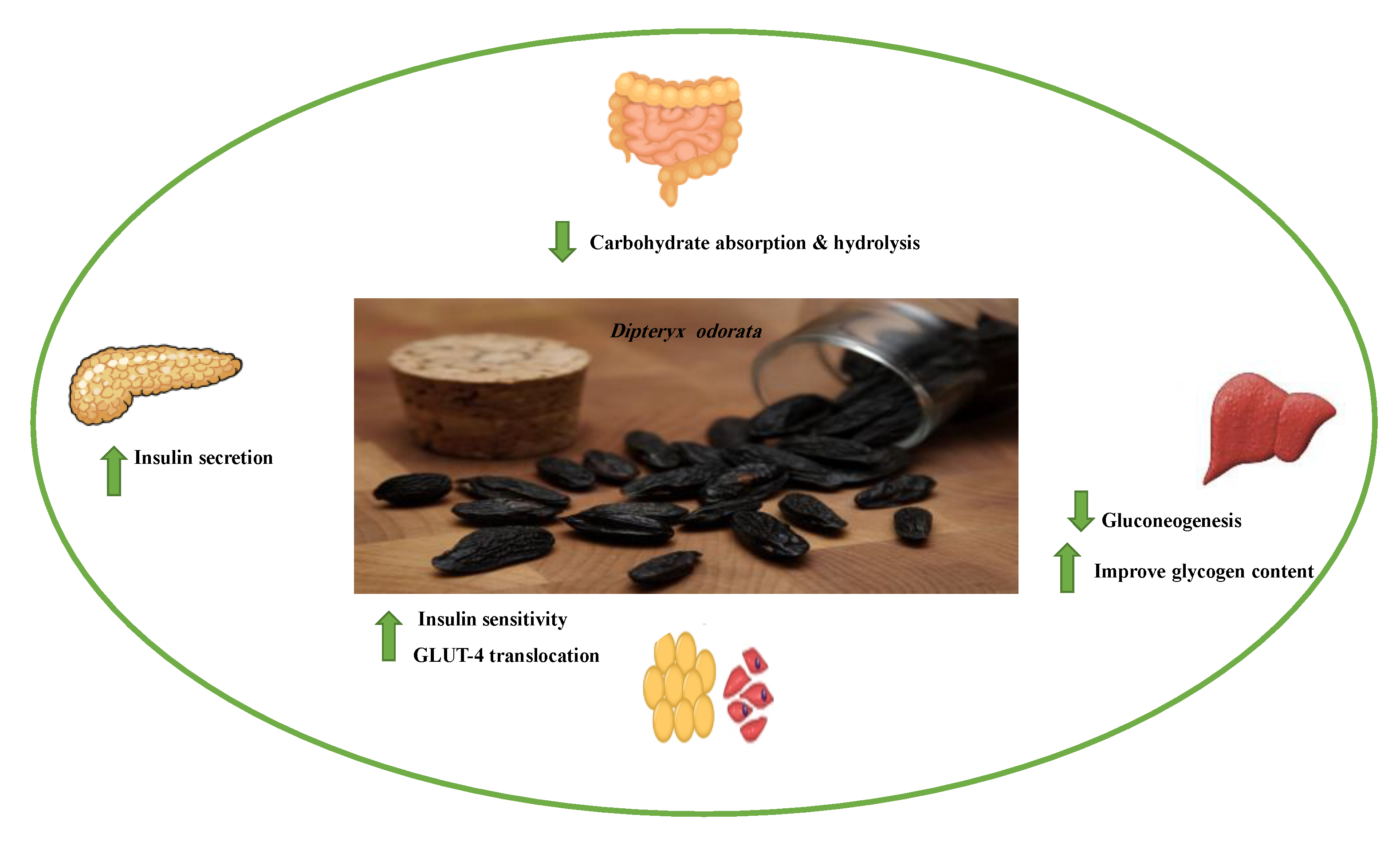 Molecules 26 04333 g016