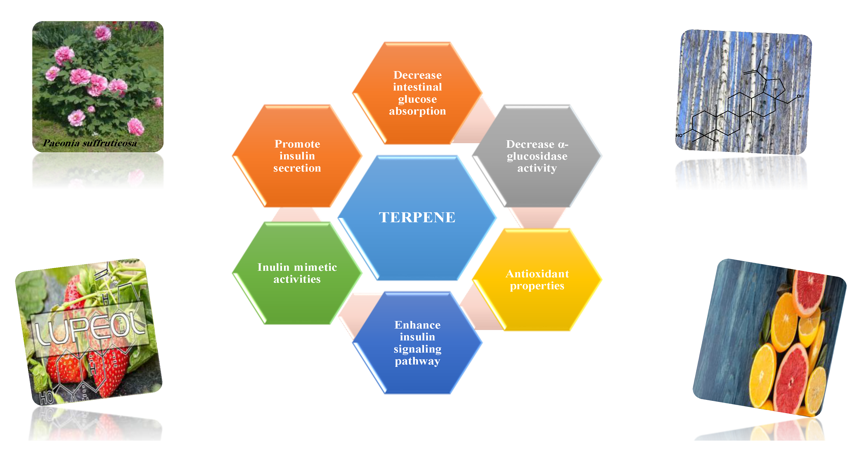 Molecules 26 04333 g017