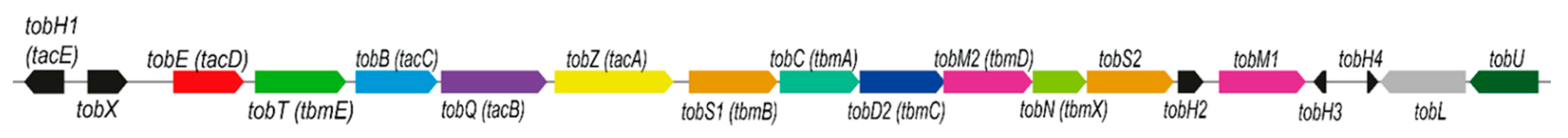 Molecules 26 04343 g002