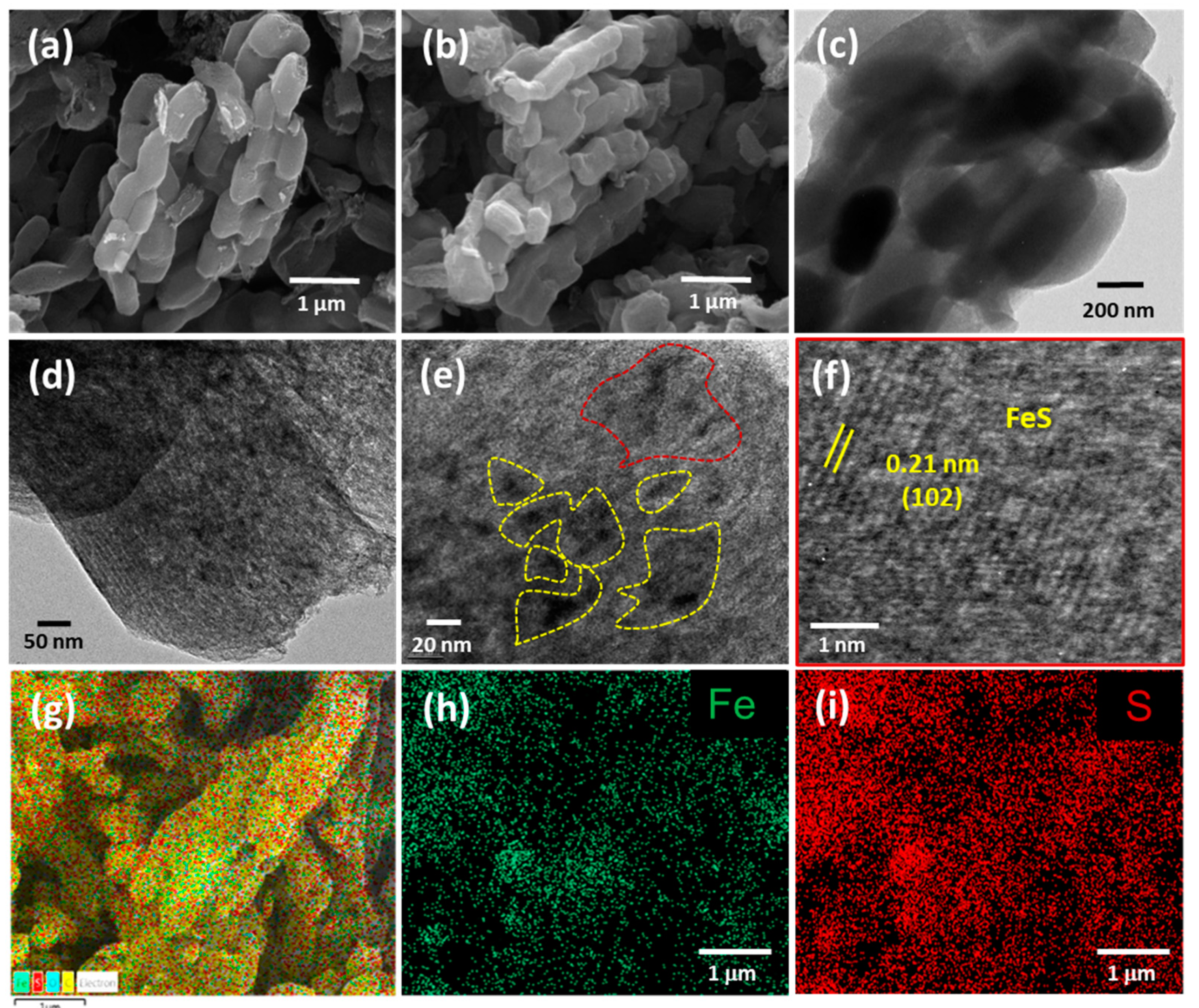 Molecules 26 04349 g002