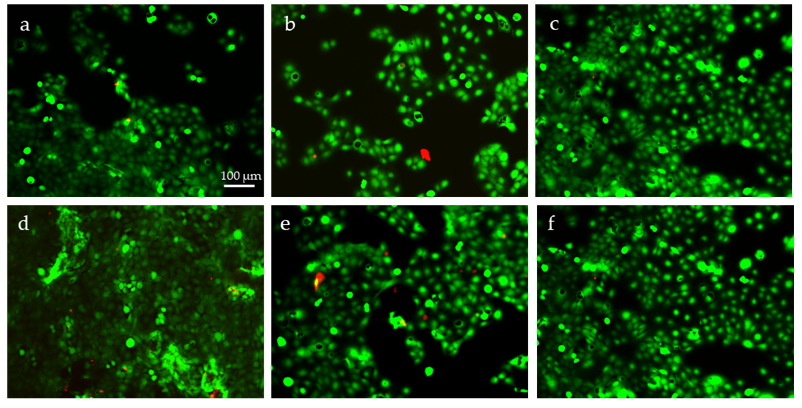 Molecules 26 04374 g006