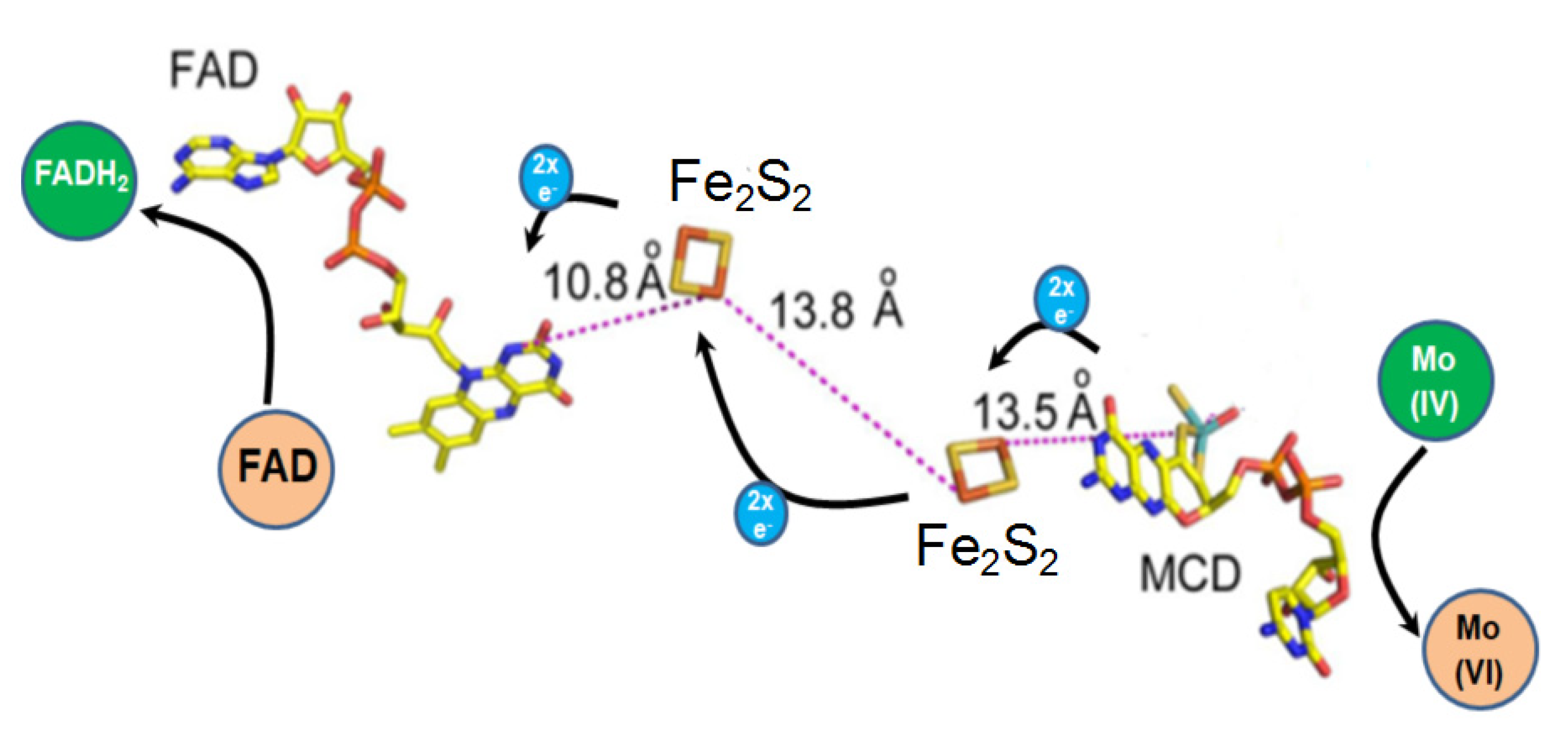 Molecules 26 04387 g003 Molecules 26 04387 g003