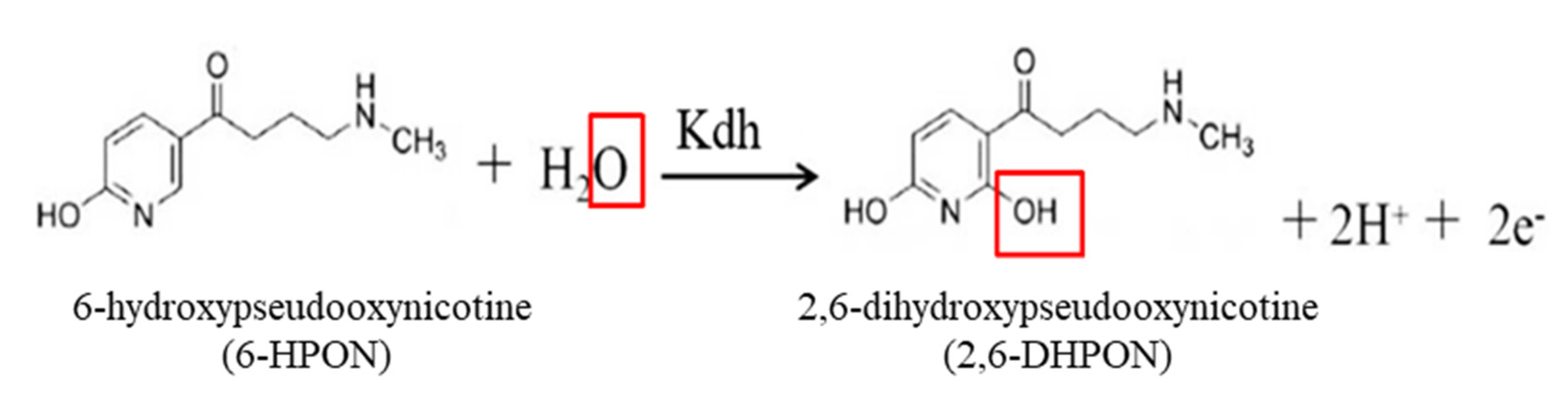 Molecules 26 04387 sch001 Molecules 26 04387 sch001