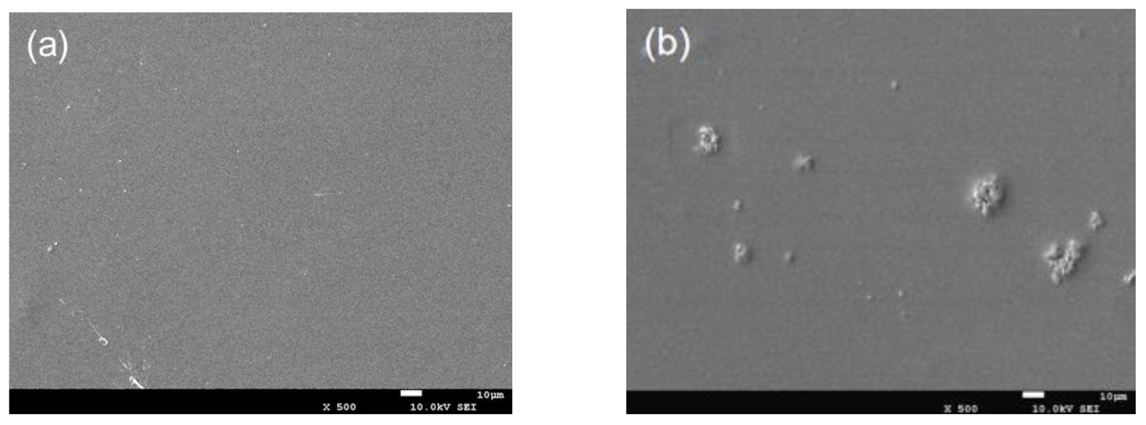 Molecules 26 04401 g001a