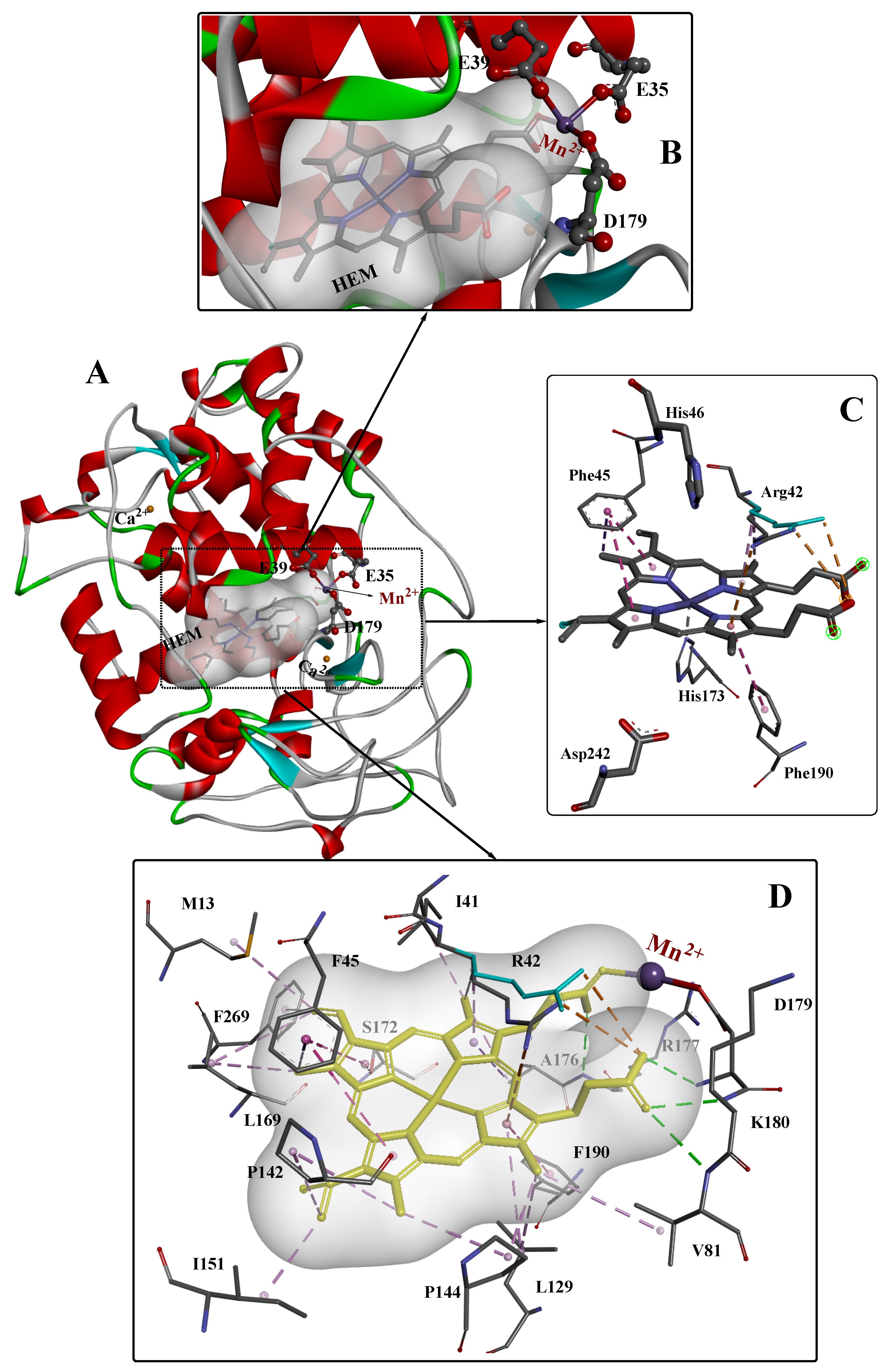 Molecules 26 04403 g001 Molecules 26 04403 g001