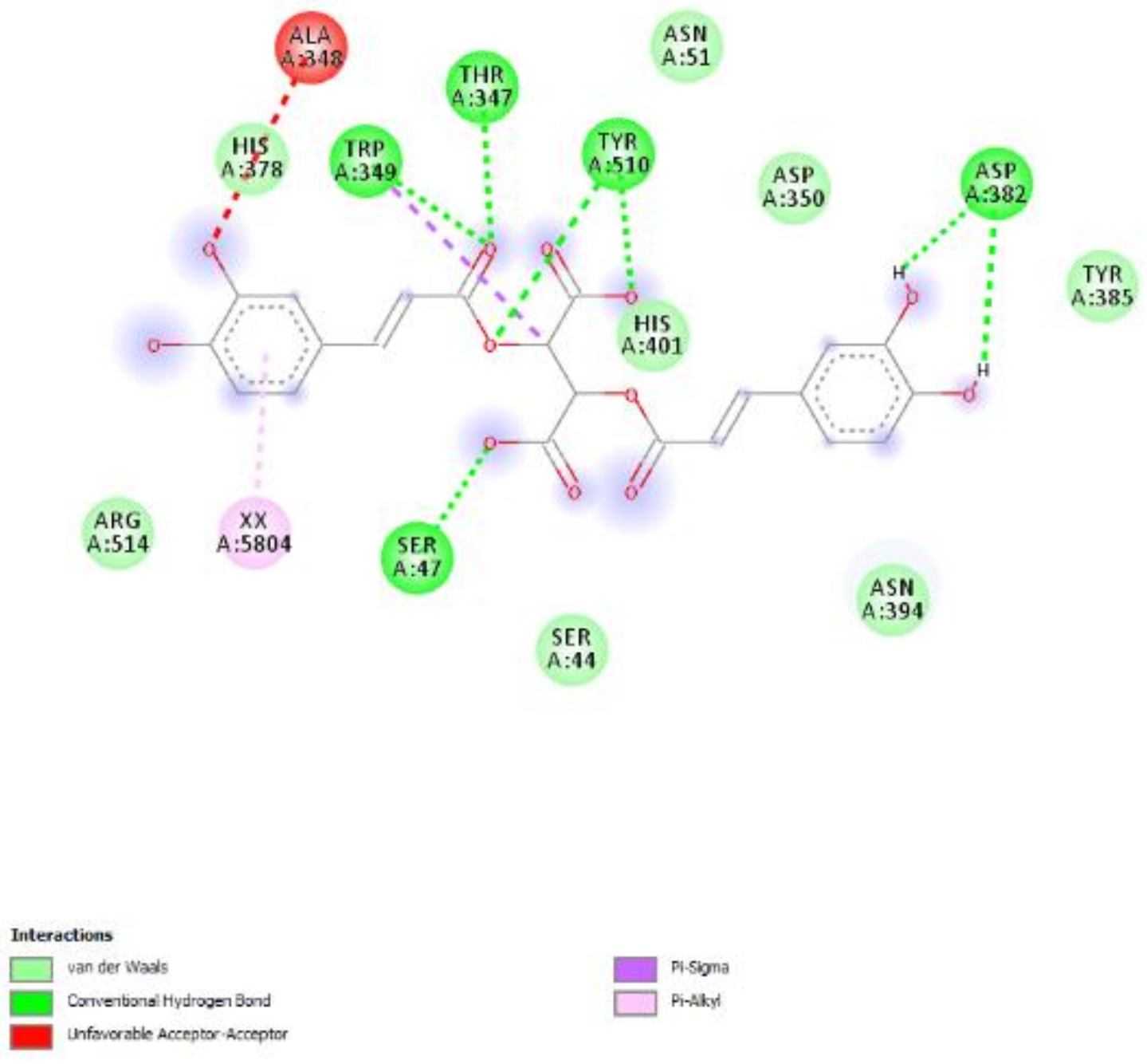 Molecules 26 04422 g012