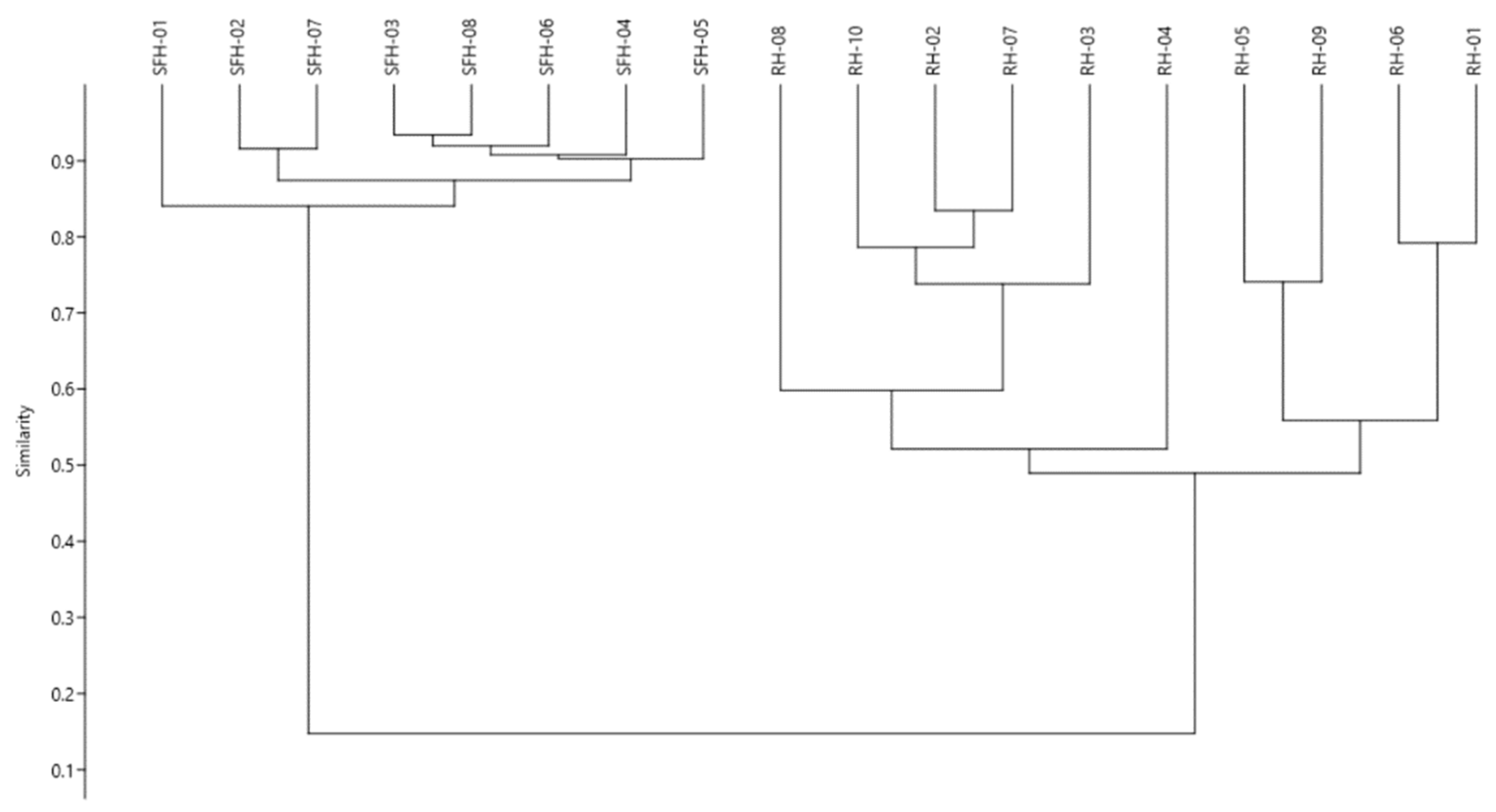 Molecules 26 04433 g003