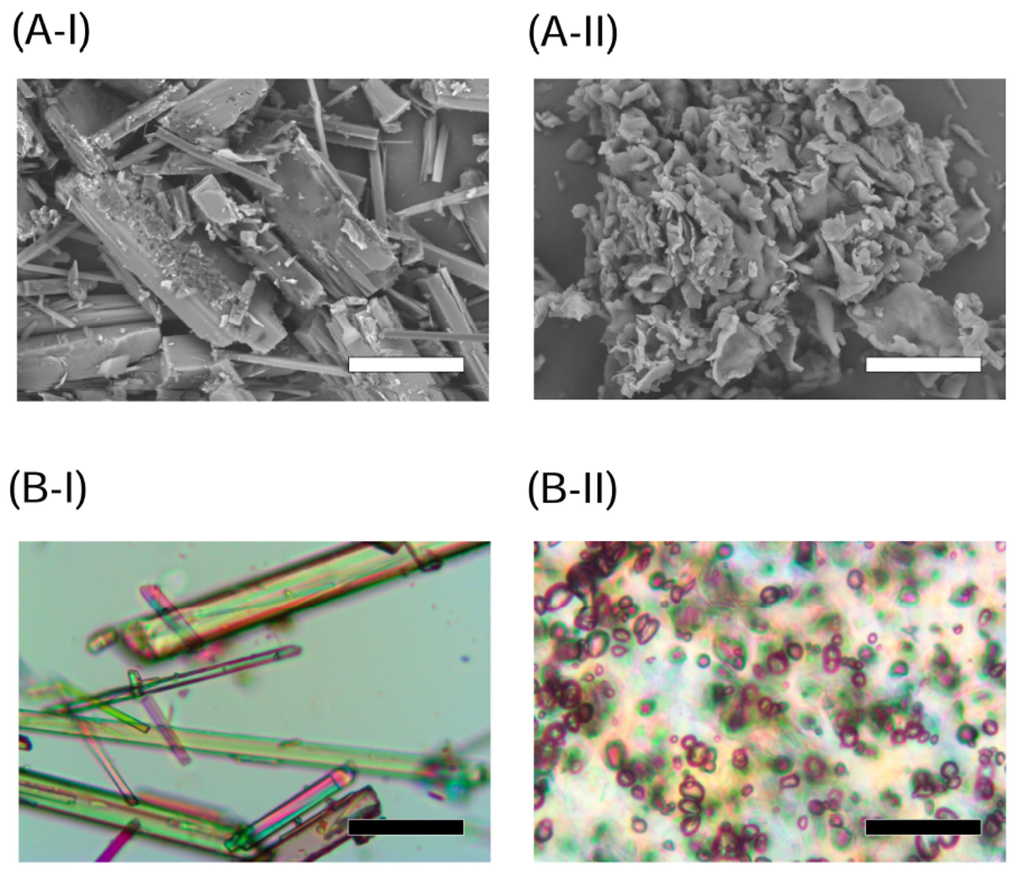 Molecules 26 04447 g001