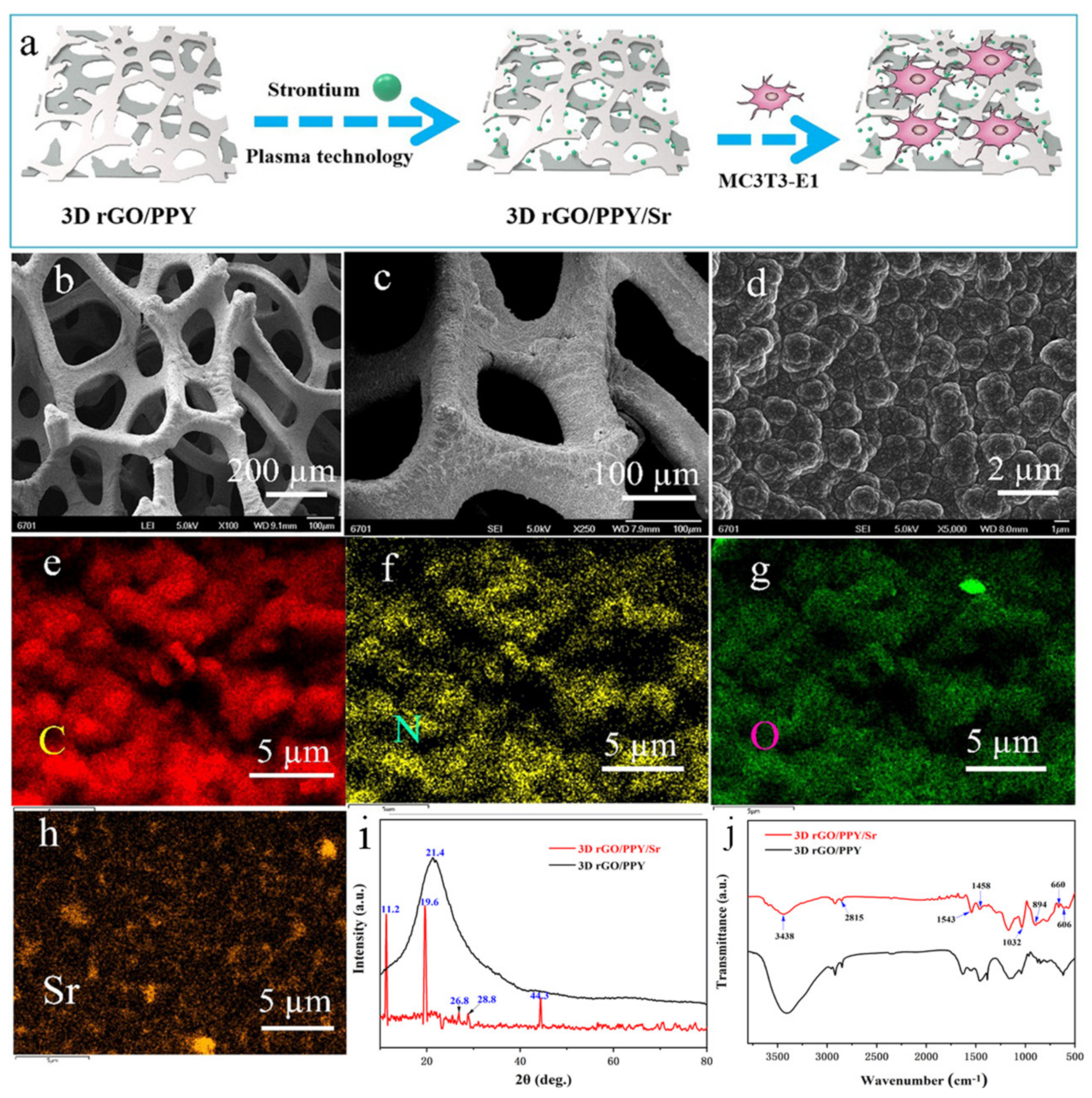Molecules 26 04451 g001 Molecules 26 04451 g001