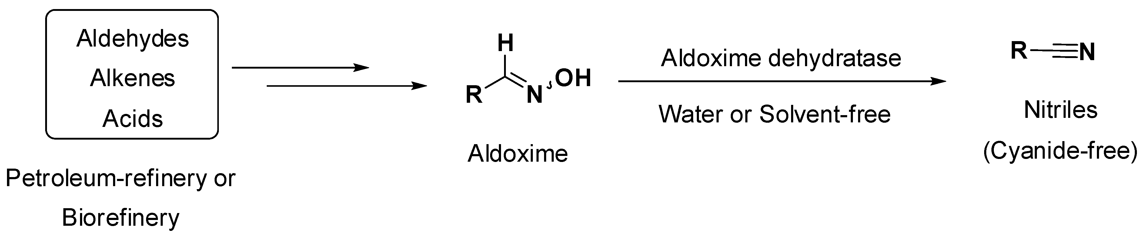 Molecules 26 04466 sch001