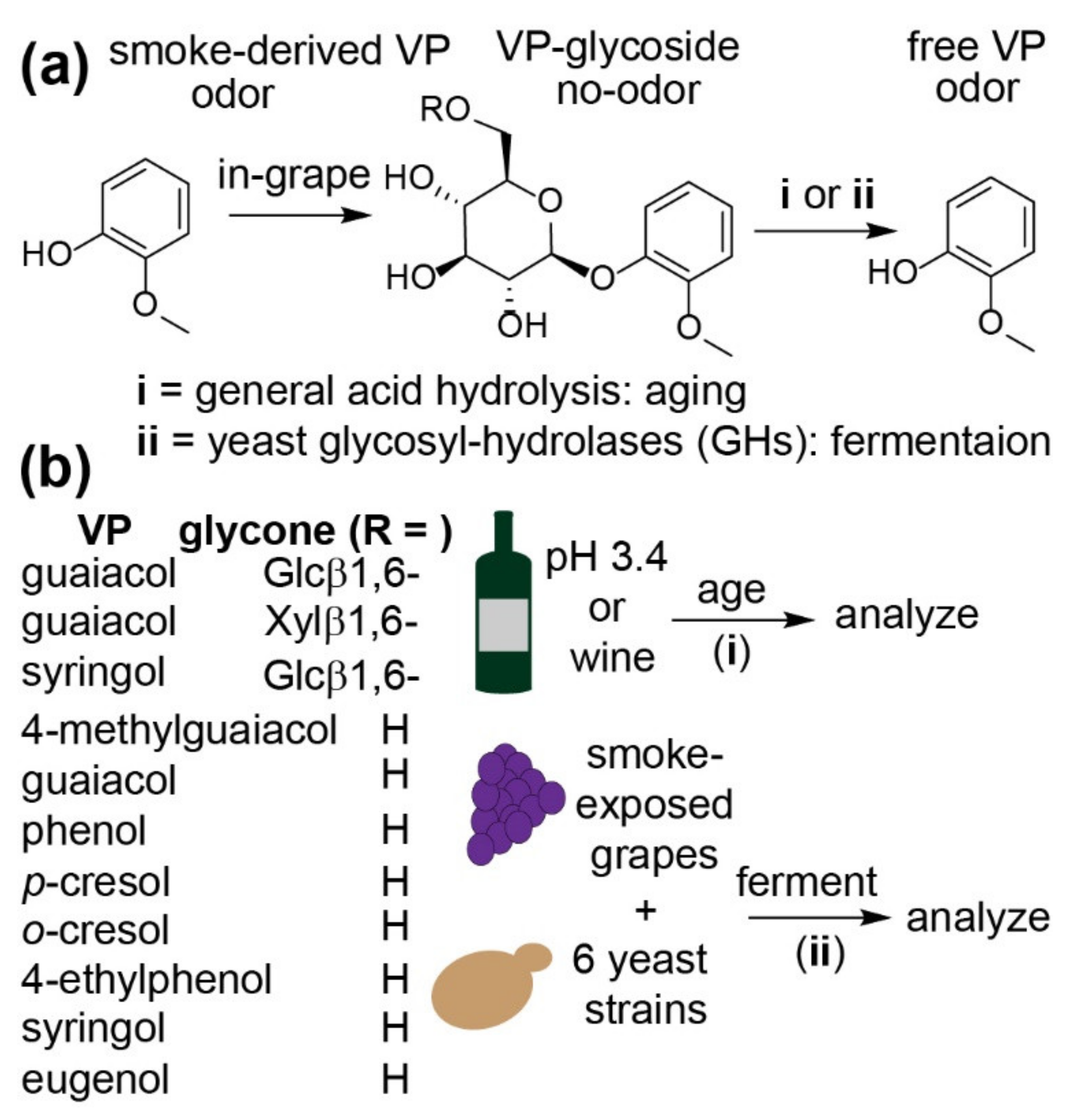 Molecules | Free Full-Text | Glycosidically-Bound Volatile Phenols Linked  to Smoke Taint: Stability during Fermentation with Different Yeasts and in  Finished Wine