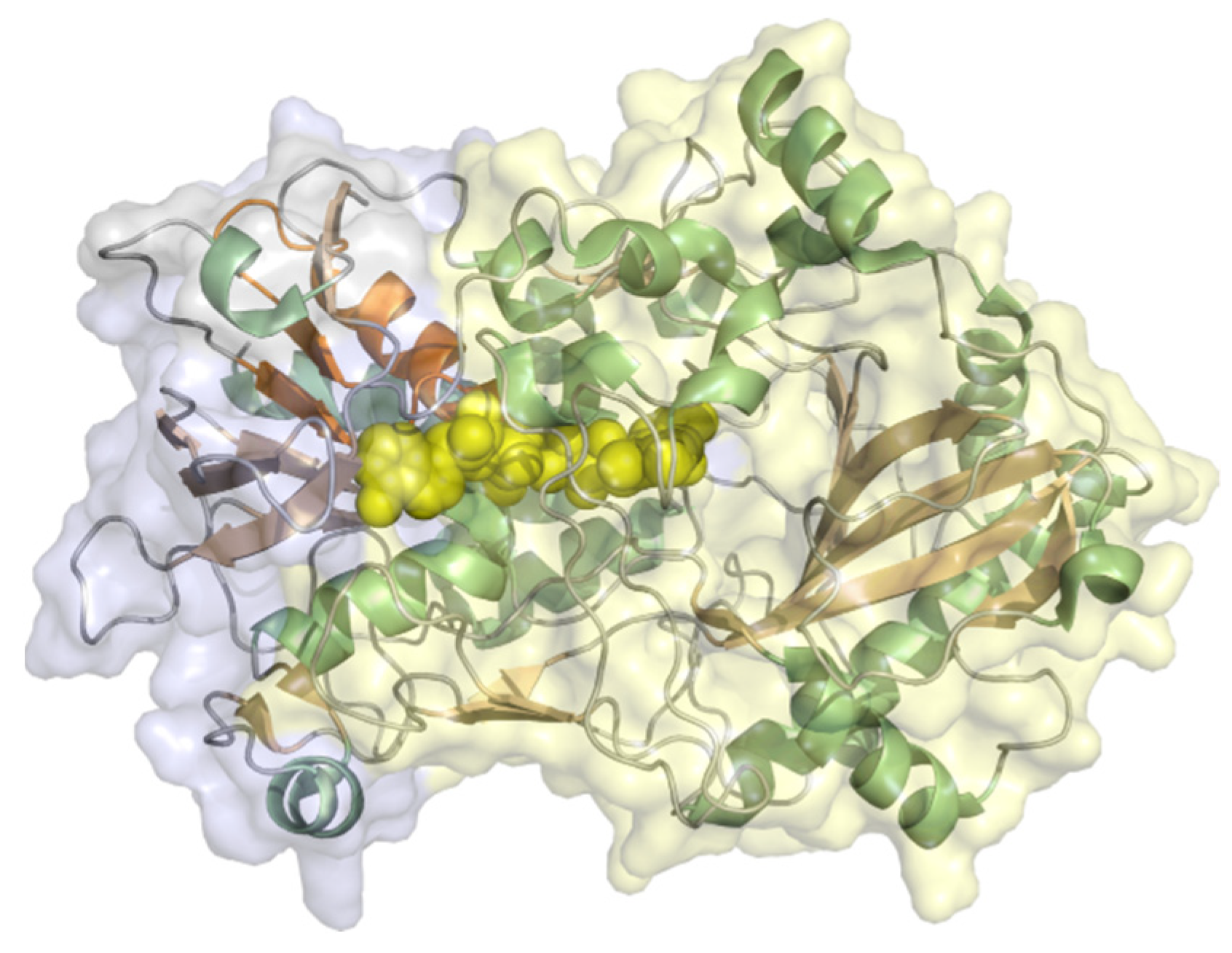 Molecules | Free Full-Text | Amperometric Biosensors Based on Direct ...