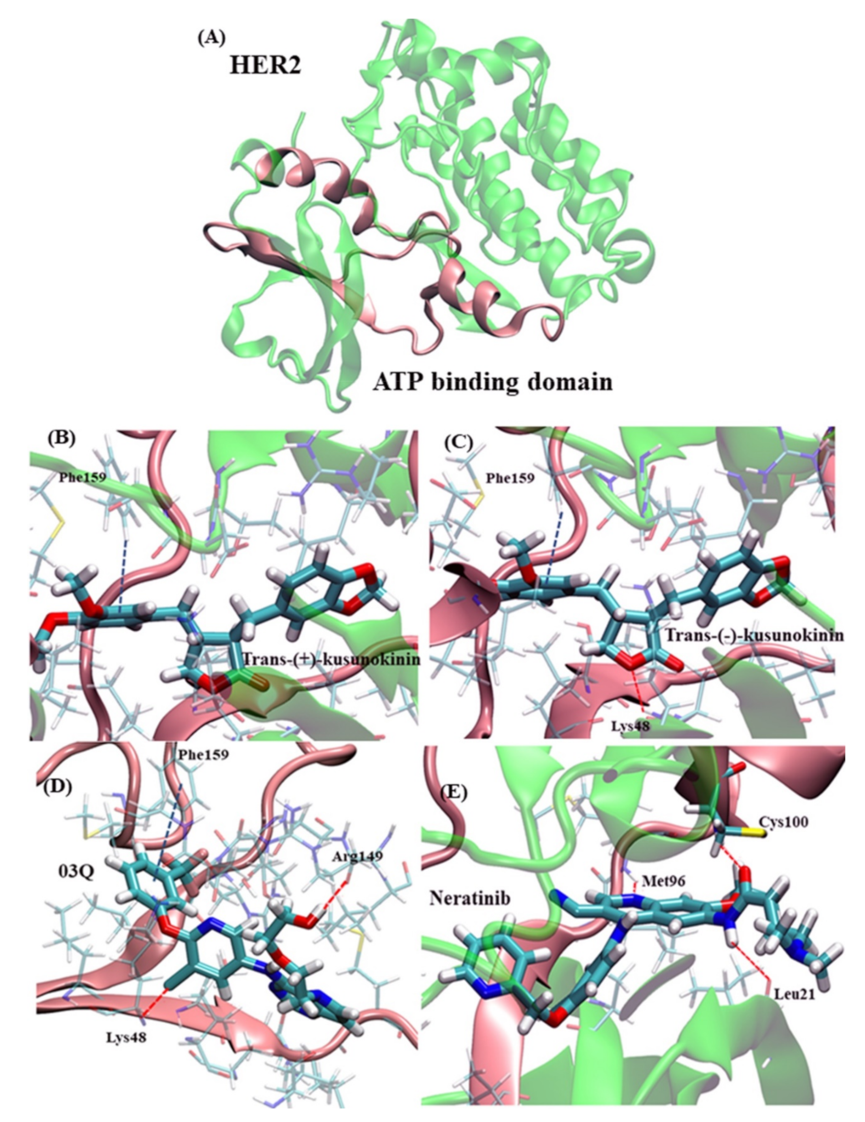 Molecules 26 04537 g003