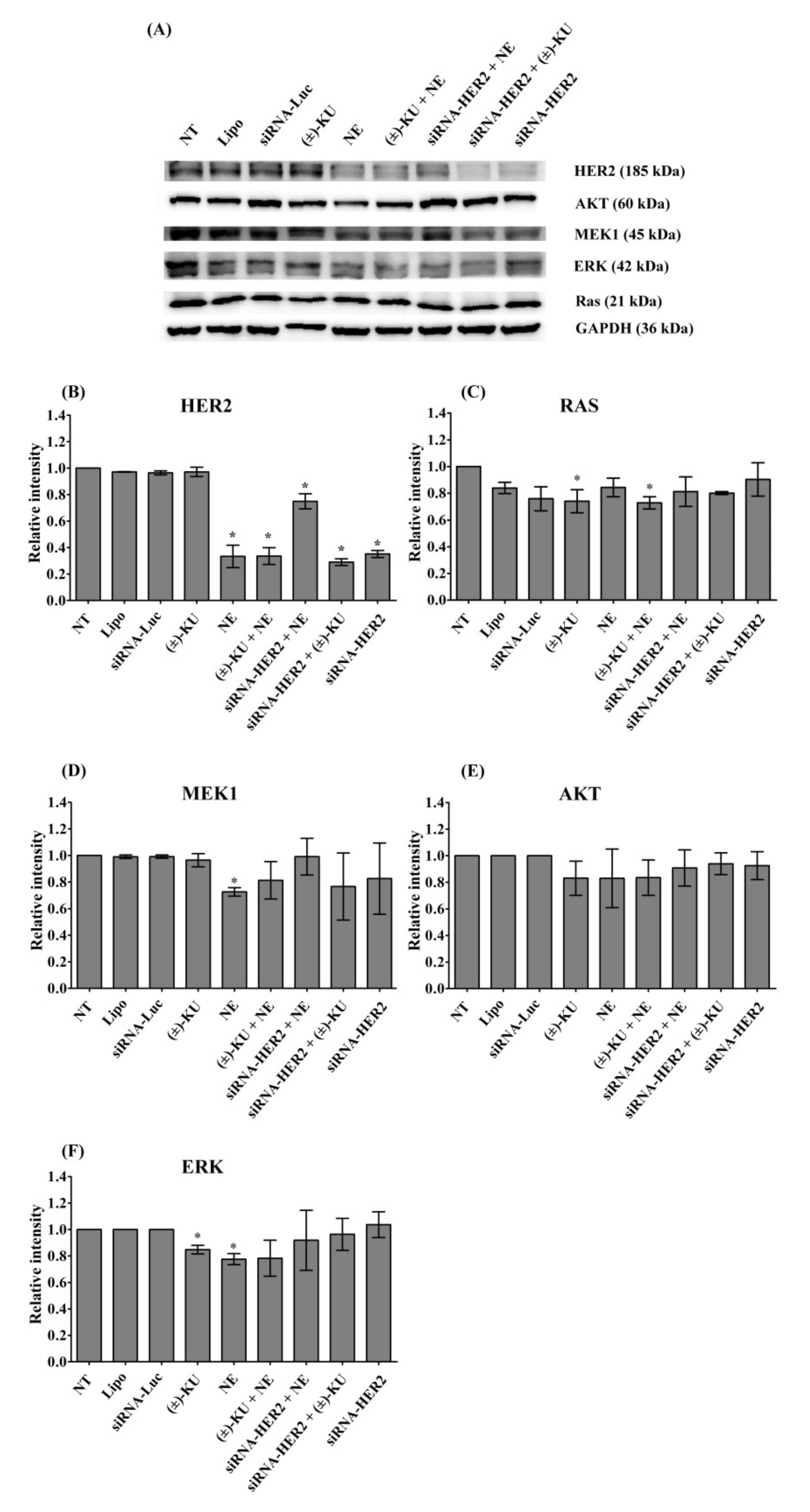 Molecules 26 04537 g006