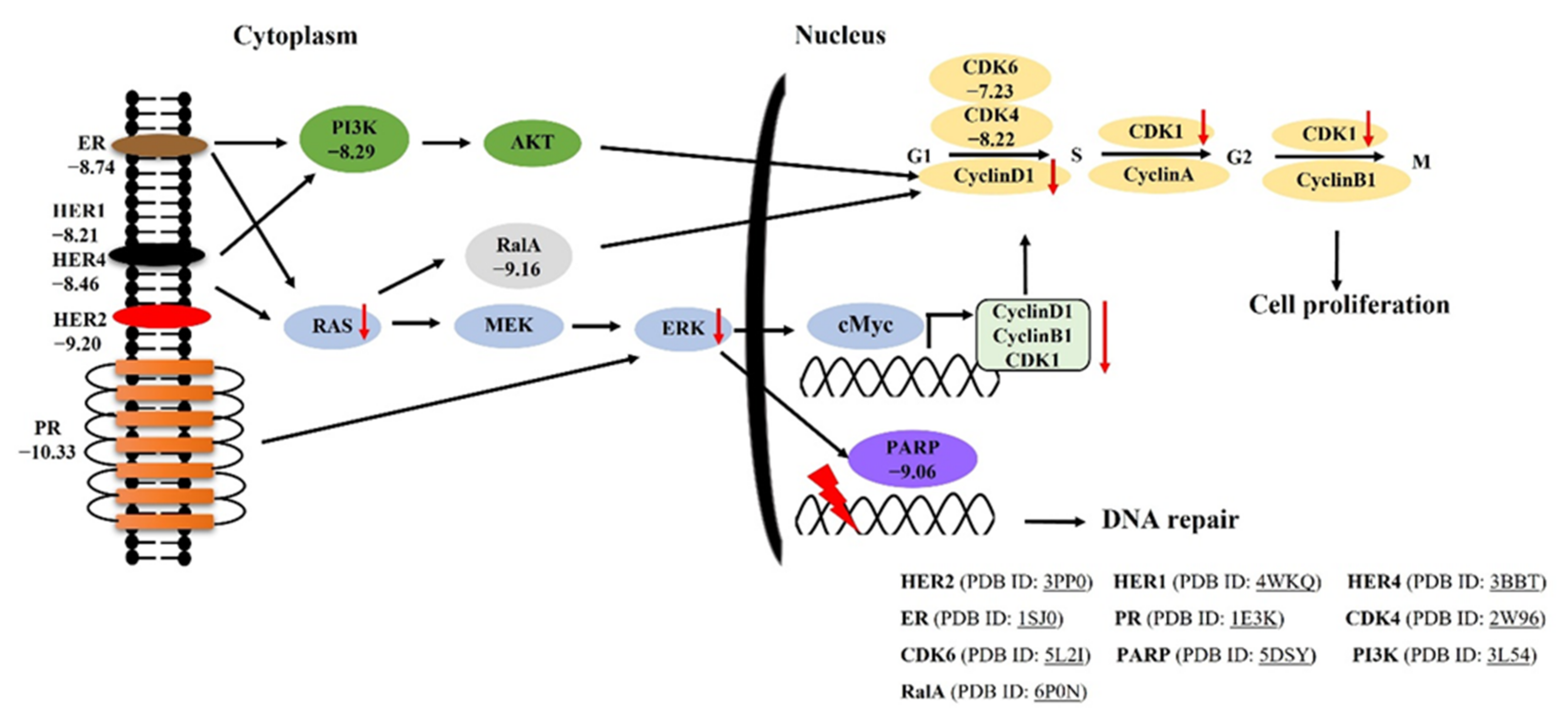 Molecules 26 04537 g008