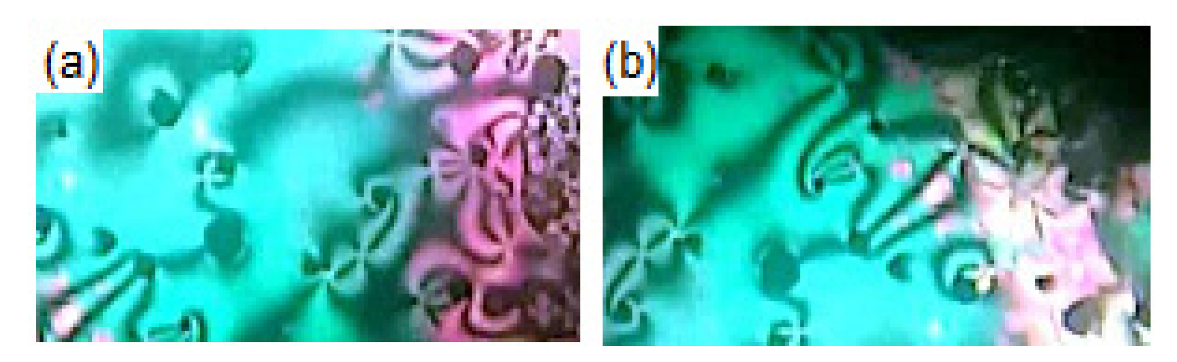 Molecules 26 04546 g002