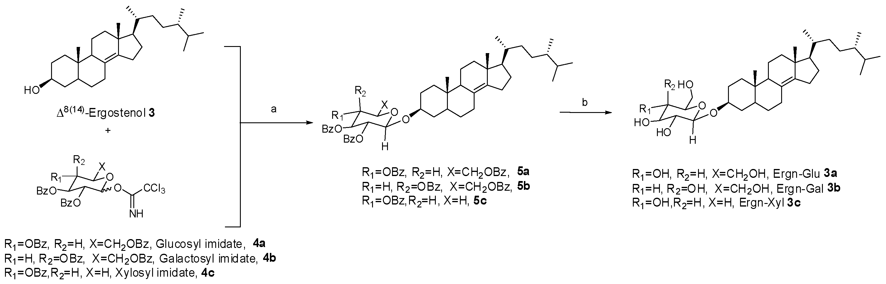 Molecules 26 04547 sch001 Molecules 26 04547 sch001