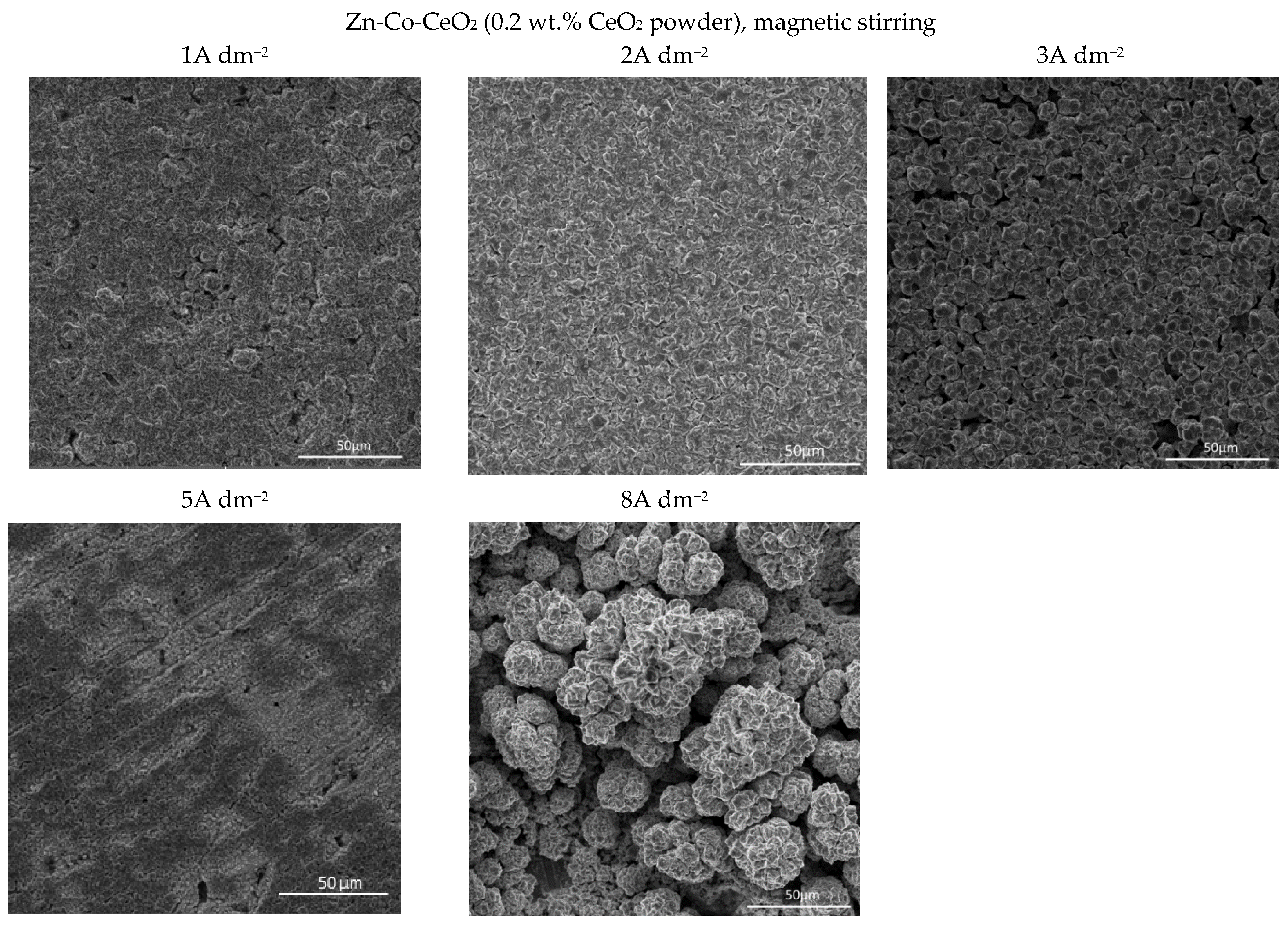 Molecules 26 04578 g005
