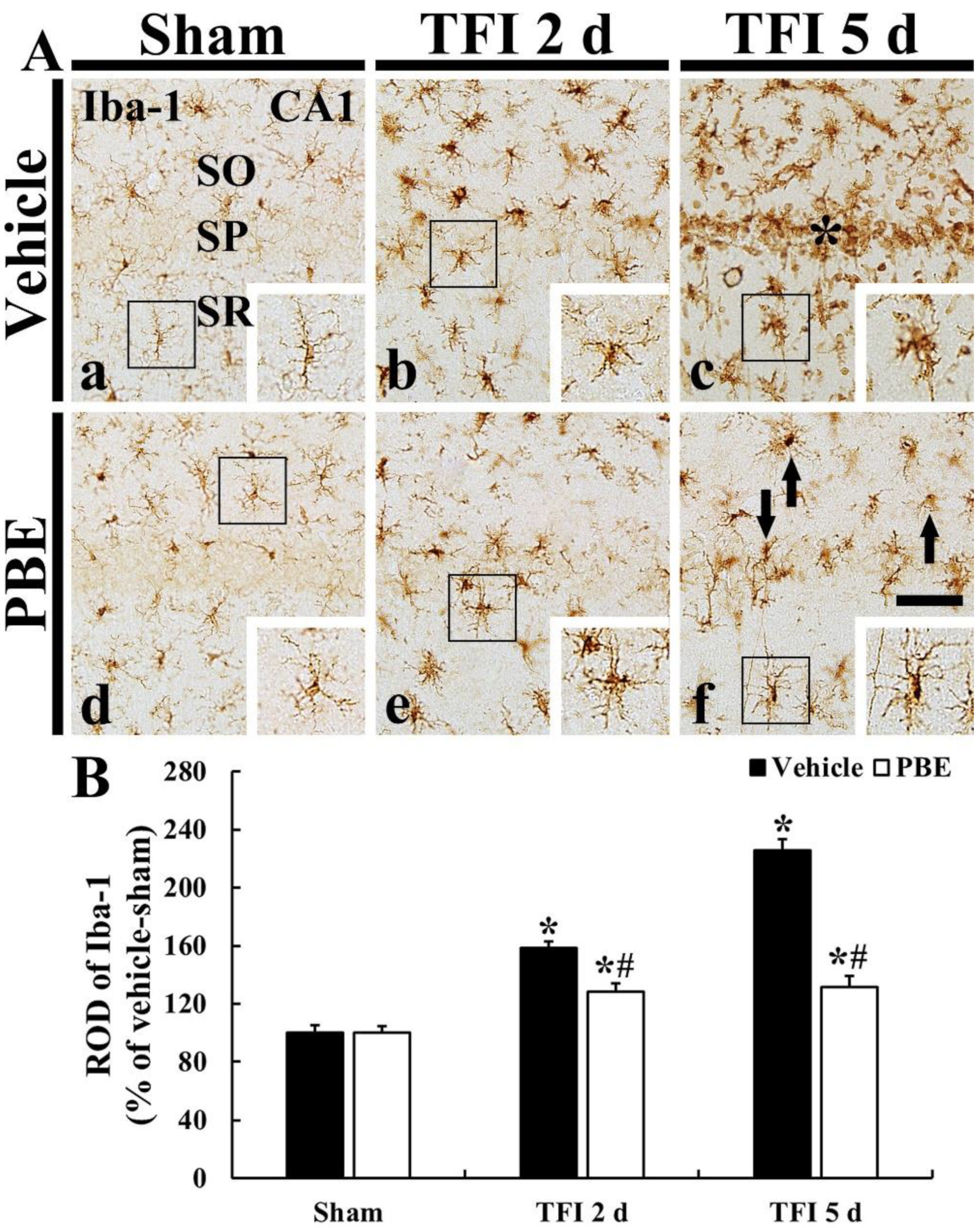 Molecules 26 04592 g003
