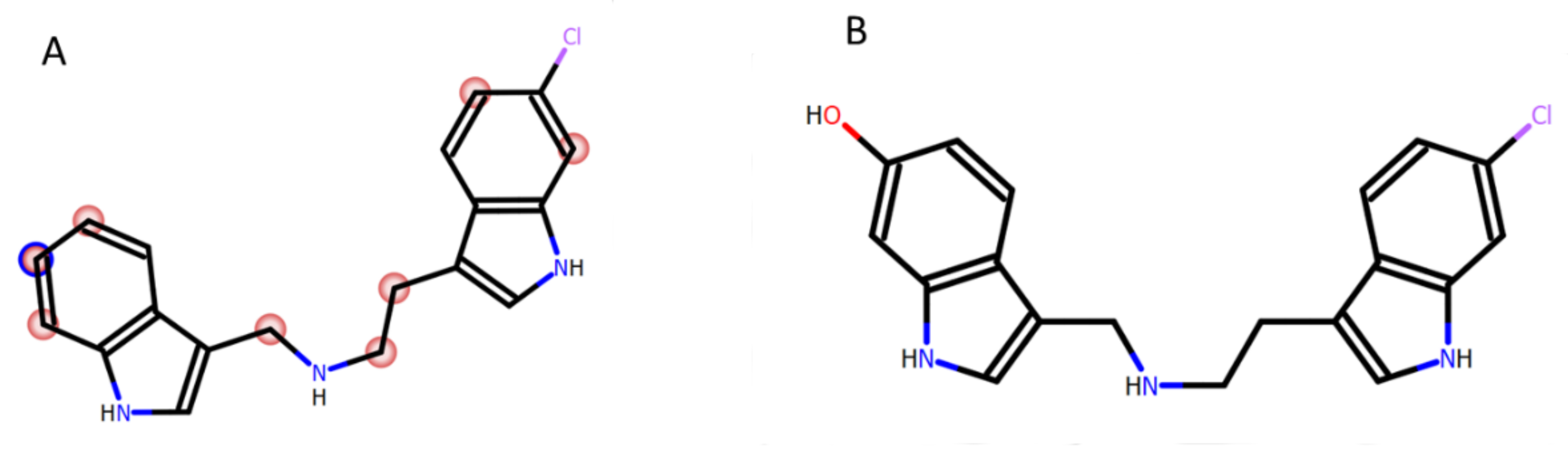 Molecules 26 04605 g002