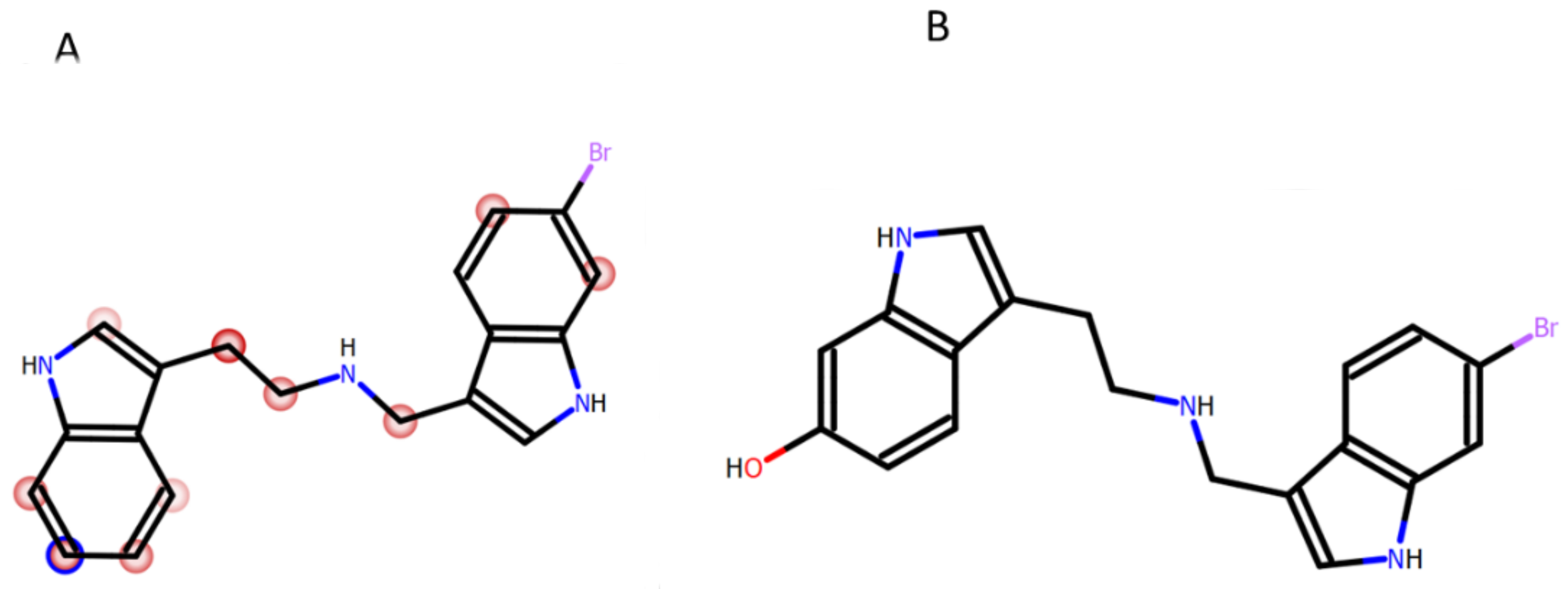 Molecules 26 04605 g003