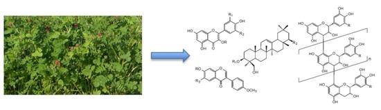 Molecules | Free Full-Text | Chemical Identification of Specialized ...