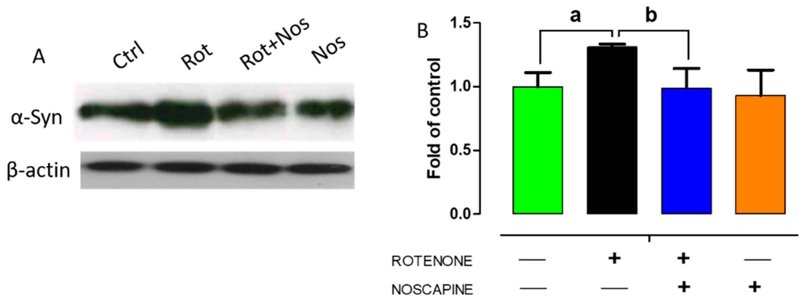 Molecules 26 04627 g005