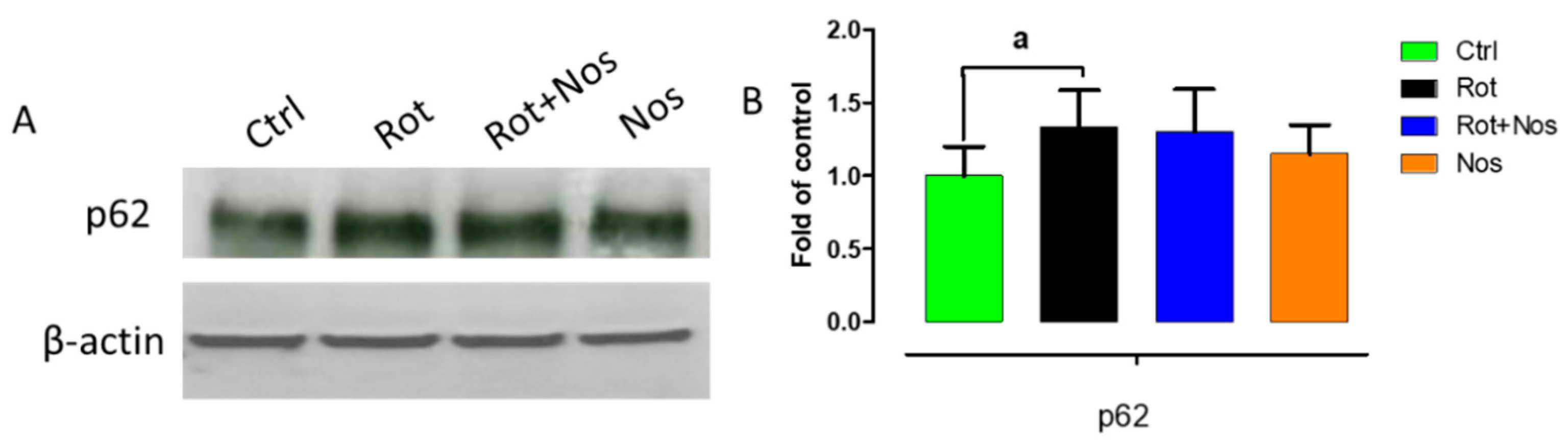 Molecules 26 04627 g007