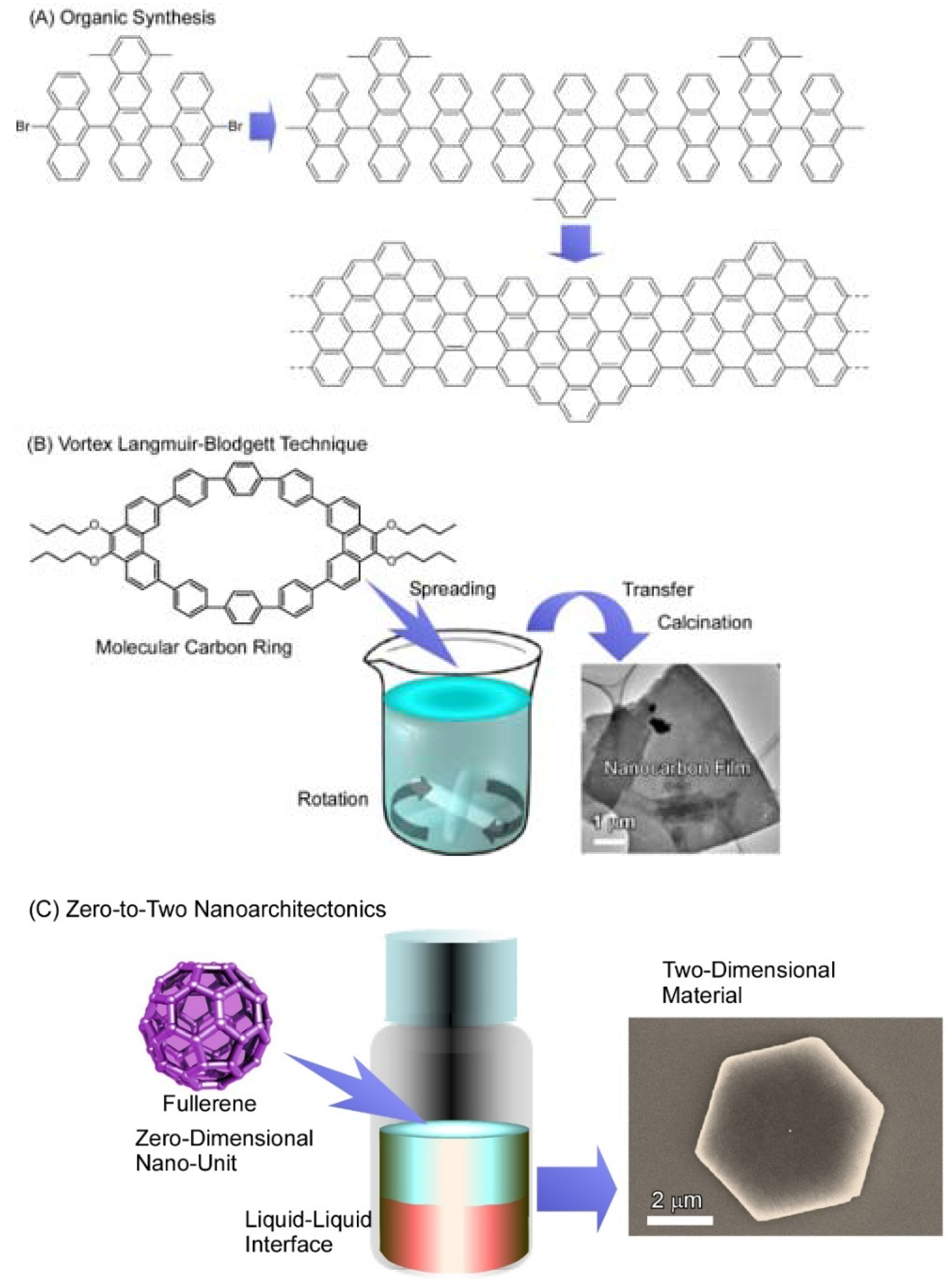 Molecules 26 04636 g002